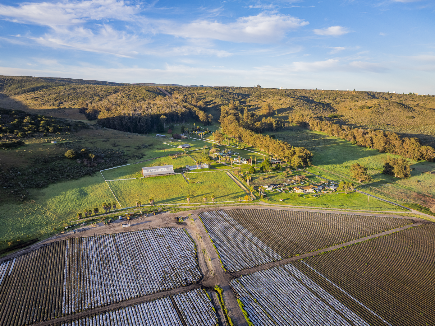 Hillside Ranch - Green - Web-4.png