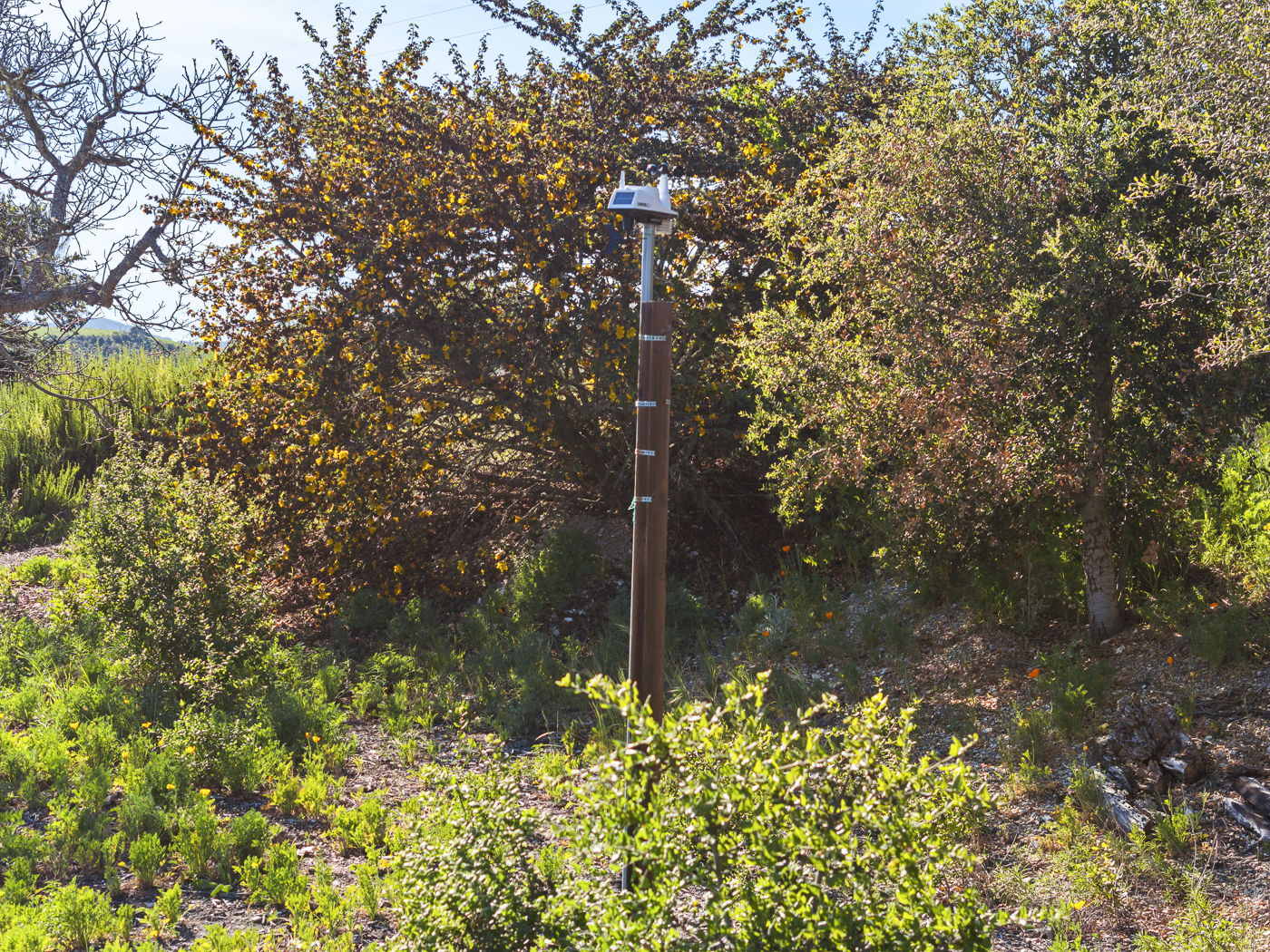 3226 Jalama Rd - MLS Web-12.png