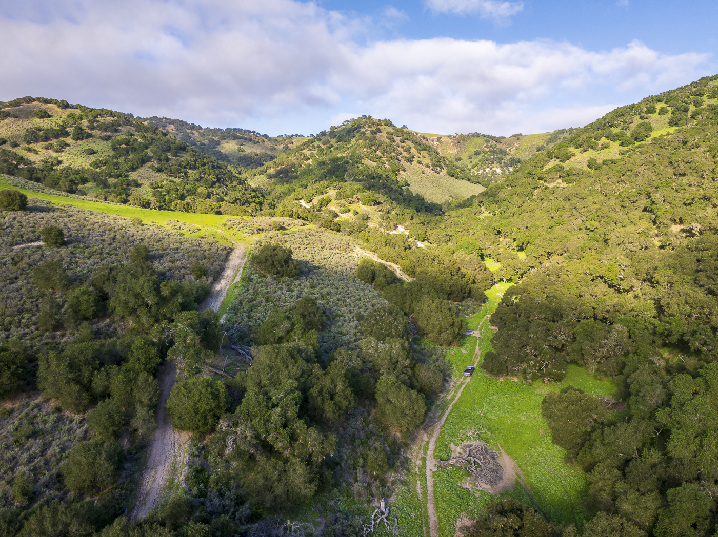 Red Rock Ranch - Web-16.png