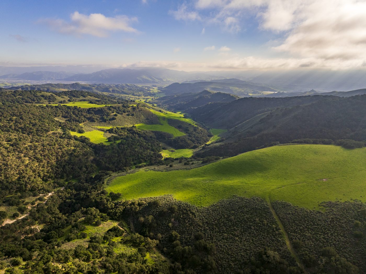 Red Rock Ranch - Web-01.png