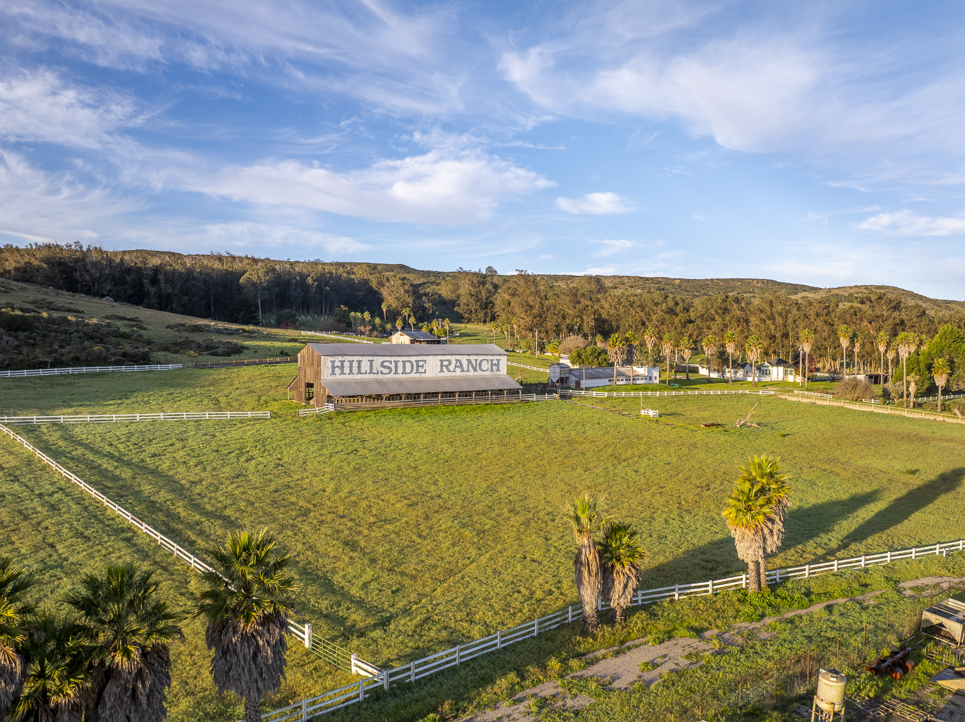 Hillside Ranch - Green - Web-13.png