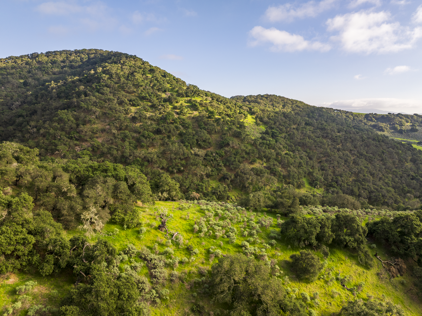 Red Rock Ranch - Web-34.png