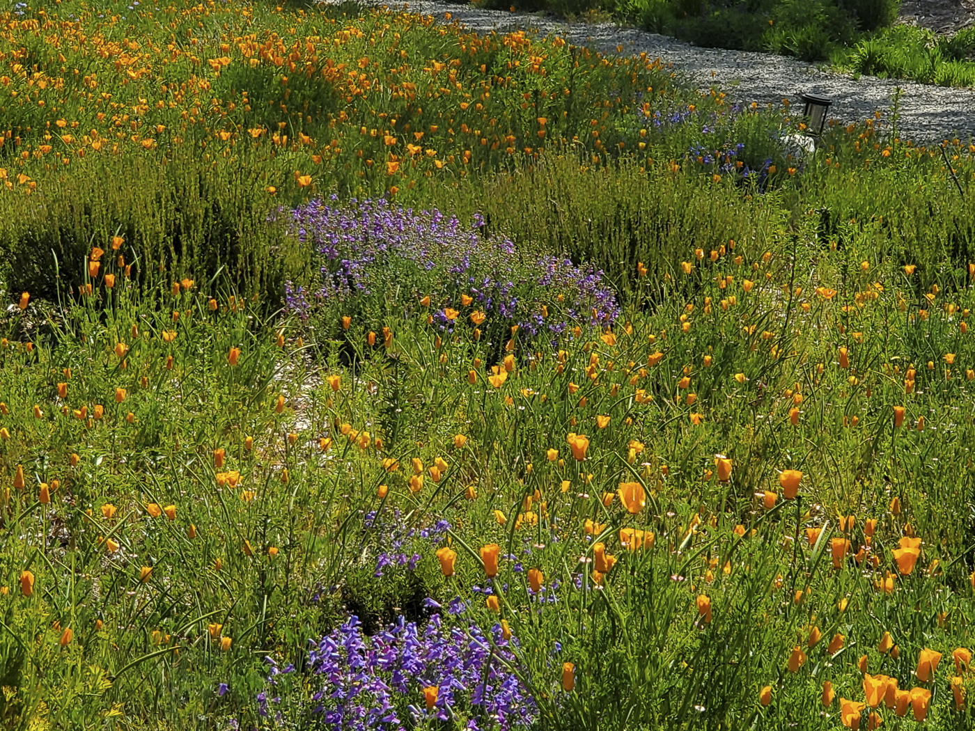 3226 Jalama Rd - MLS Web-13.png