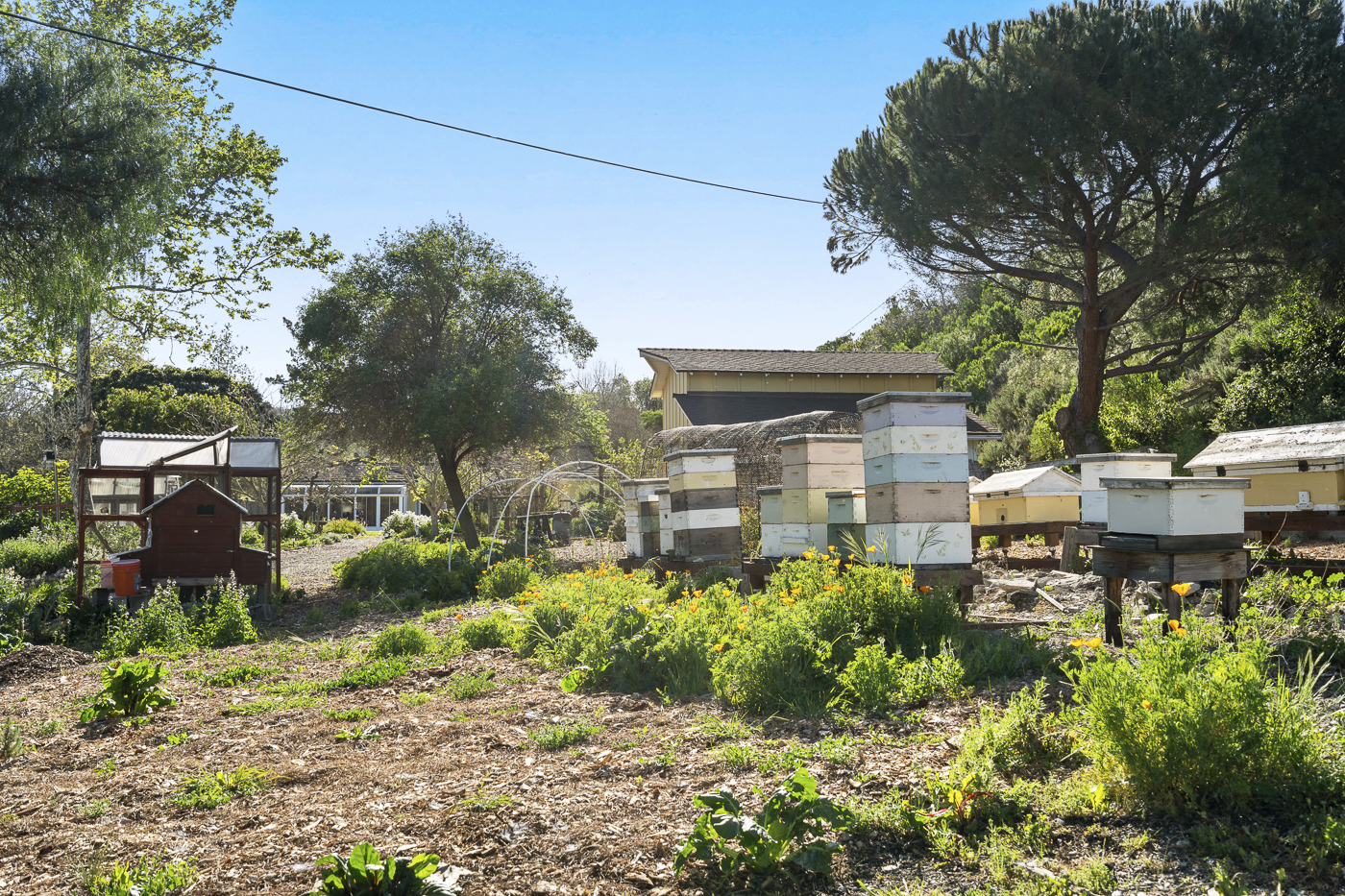 3226 Jalama Rd - MLS Web-75.png