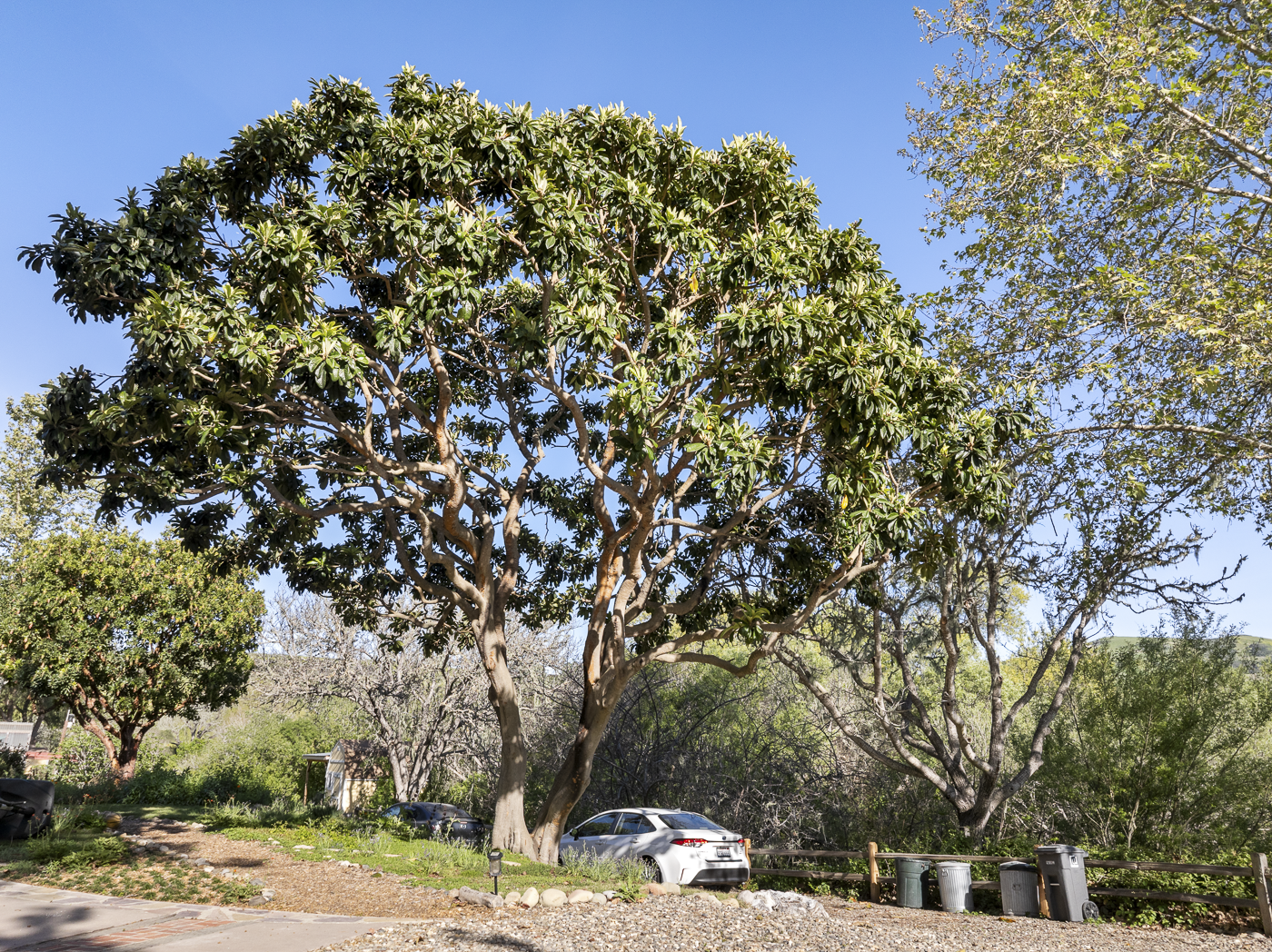 3226 Jalama Rd - MLS Web-4.png