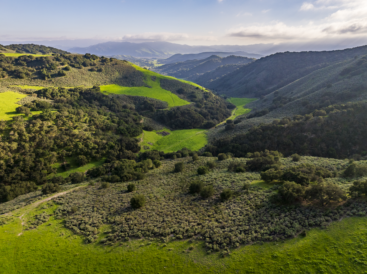 Red Rock Ranch - Web-21.png