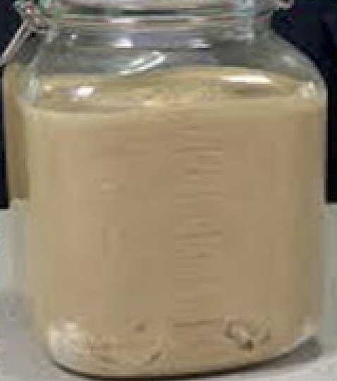 Egyptian Old Cheese (Mish)