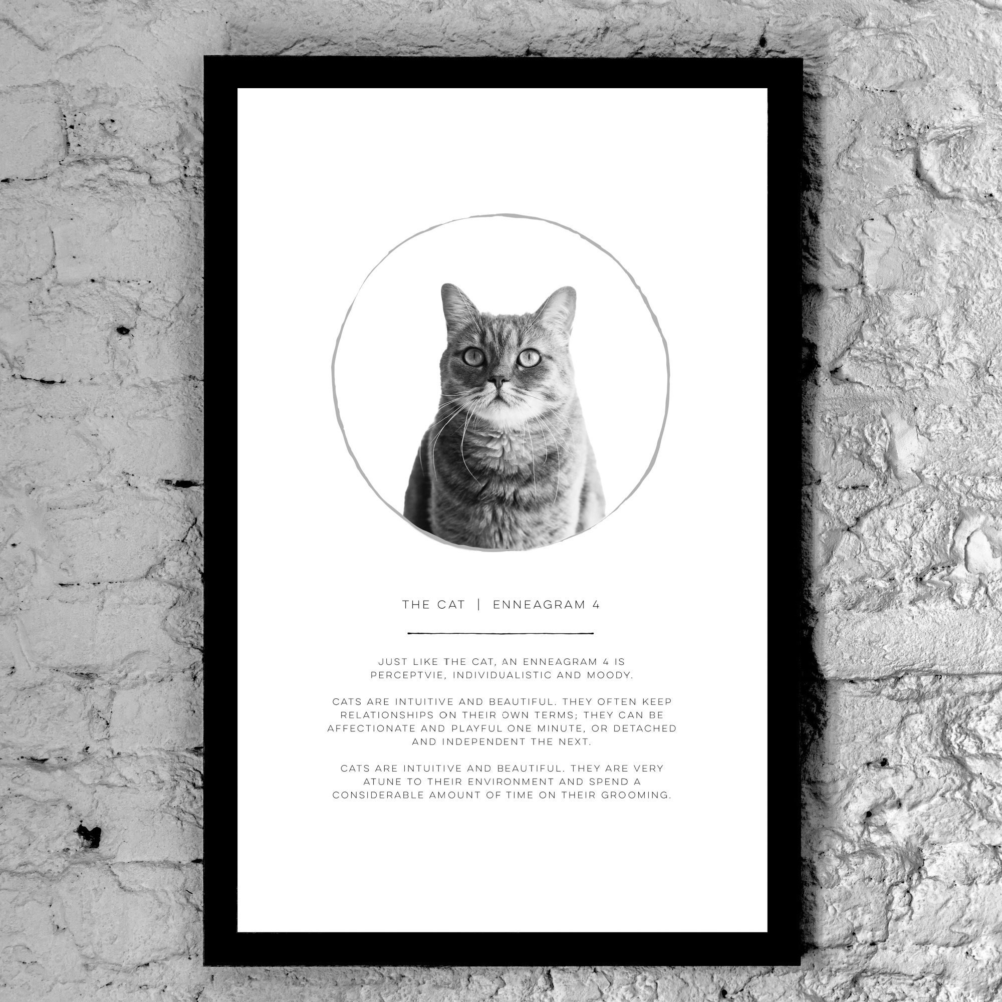 https://i.etsystatic.com/36286338/r/il/f9dc5b/4058143951/il_fullxfull.4058143951_otdn.jpg