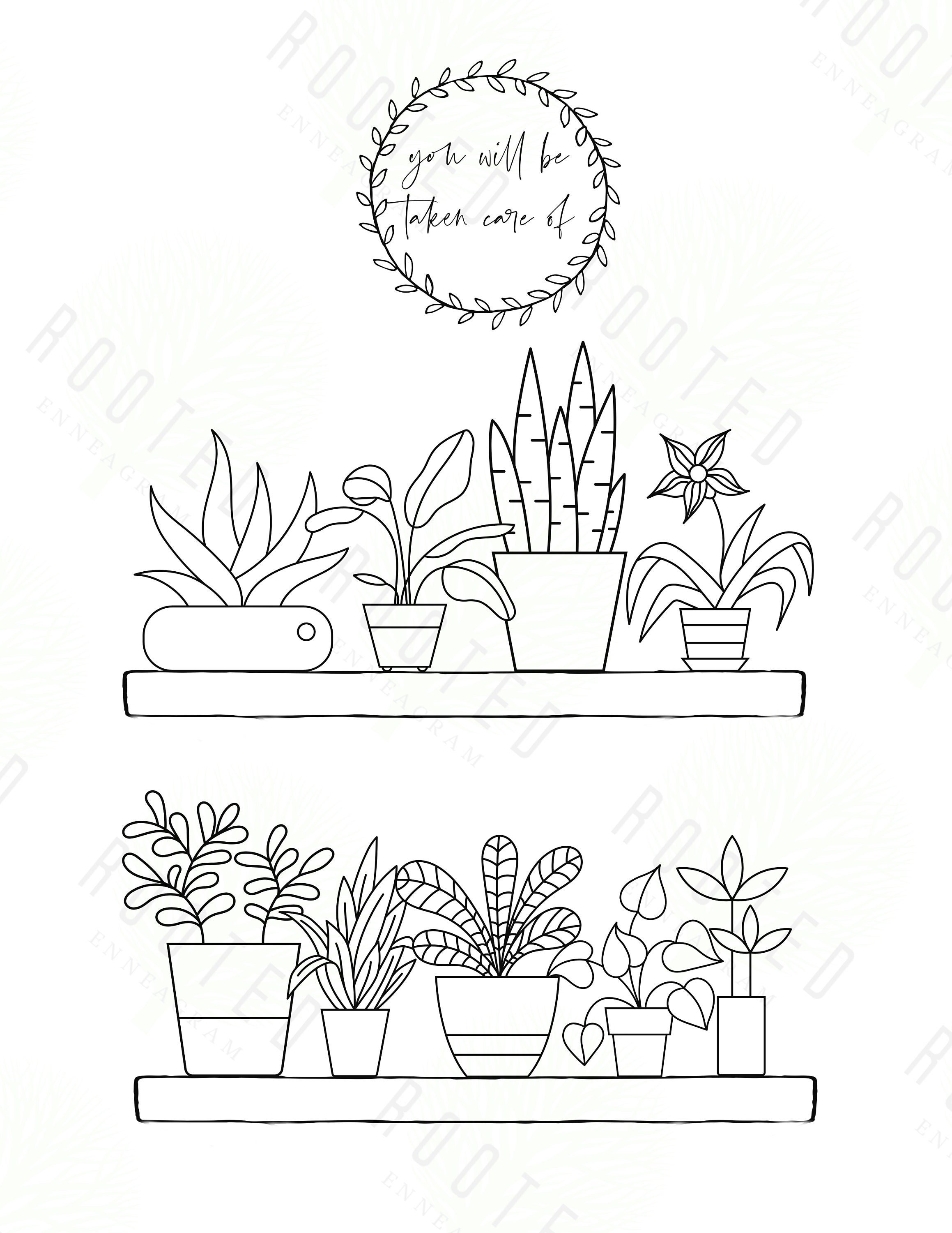 https://i.etsystatic.com/36286338/r/il/16e448/4041068383/il_fullxfull.4041068383_kjlv.jpg
