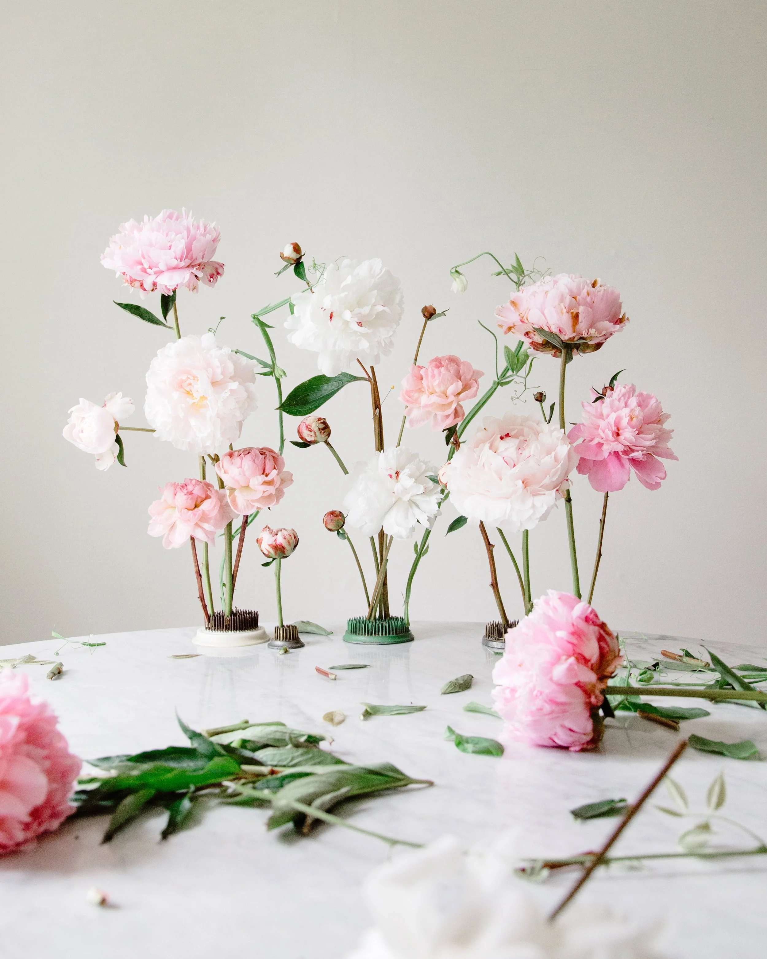 Peonies In Studio.jpg