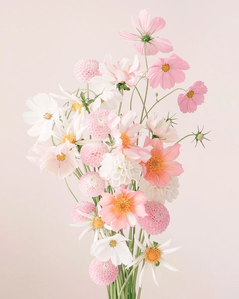 think pink-7259-Final-web.jpg