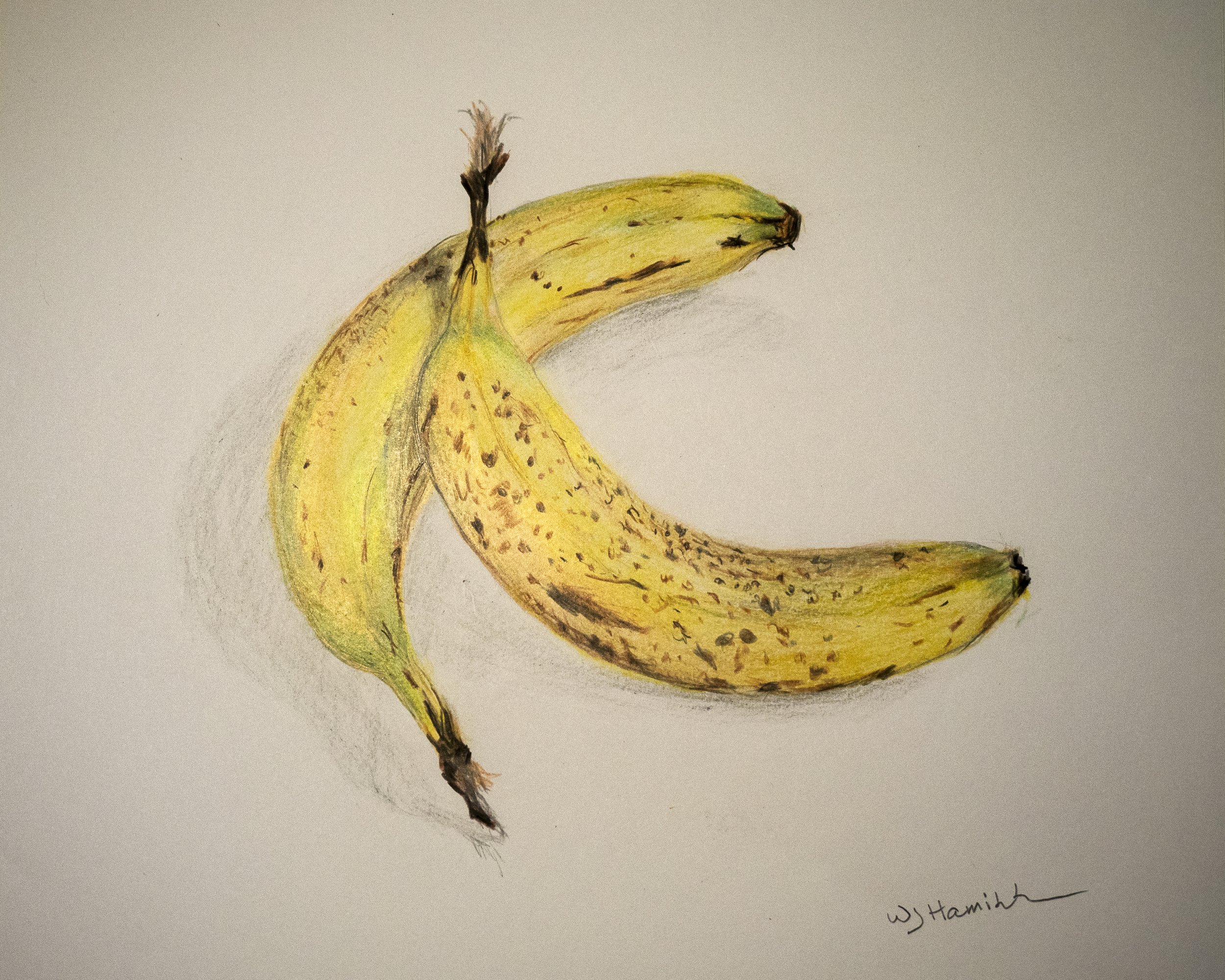 Banana  Colored Pencil Art