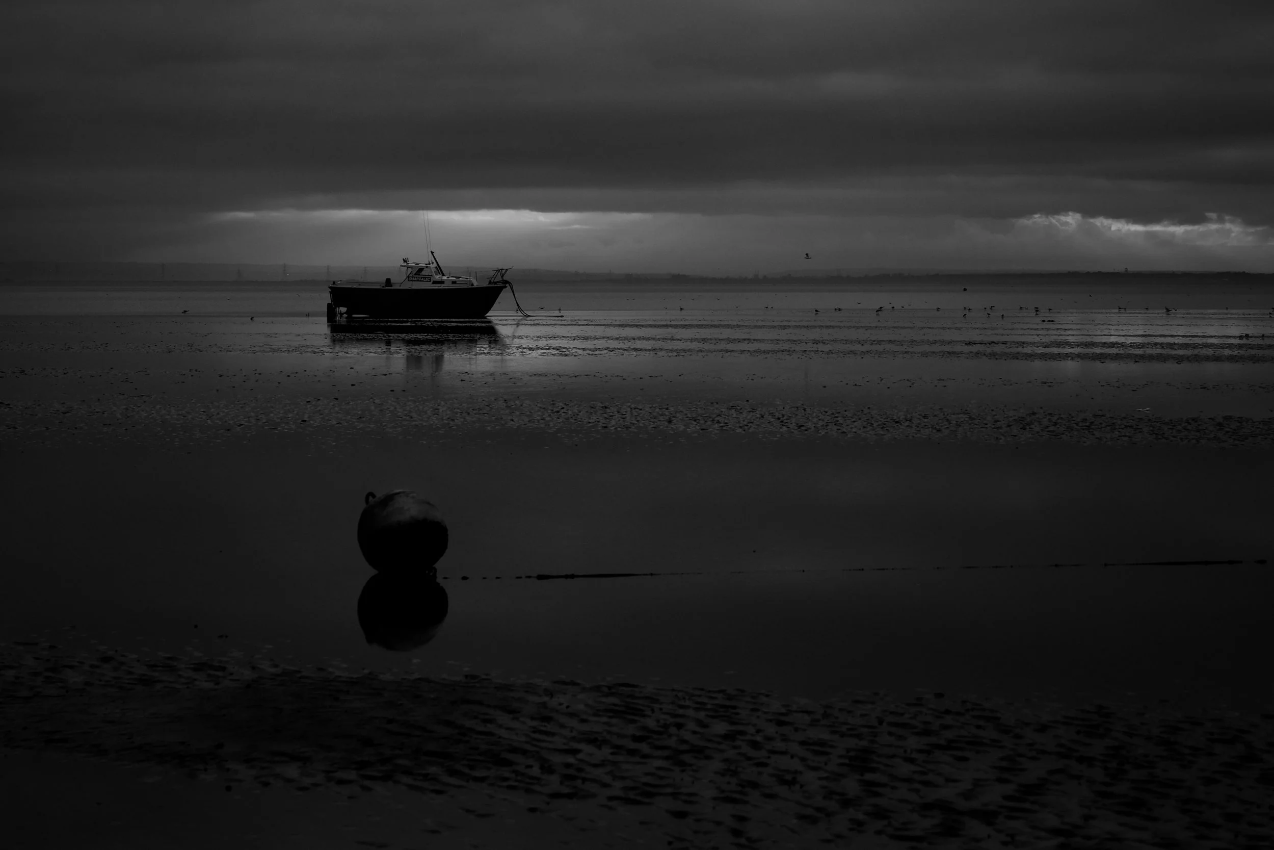DSCF9185.jpg