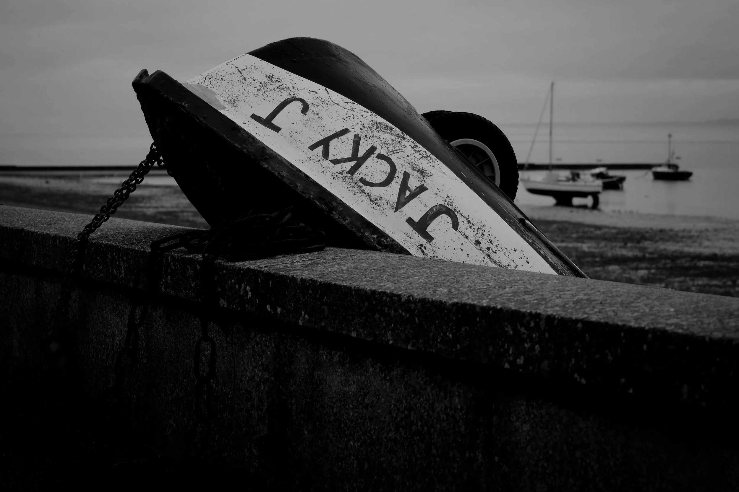 DSCF9199.jpg