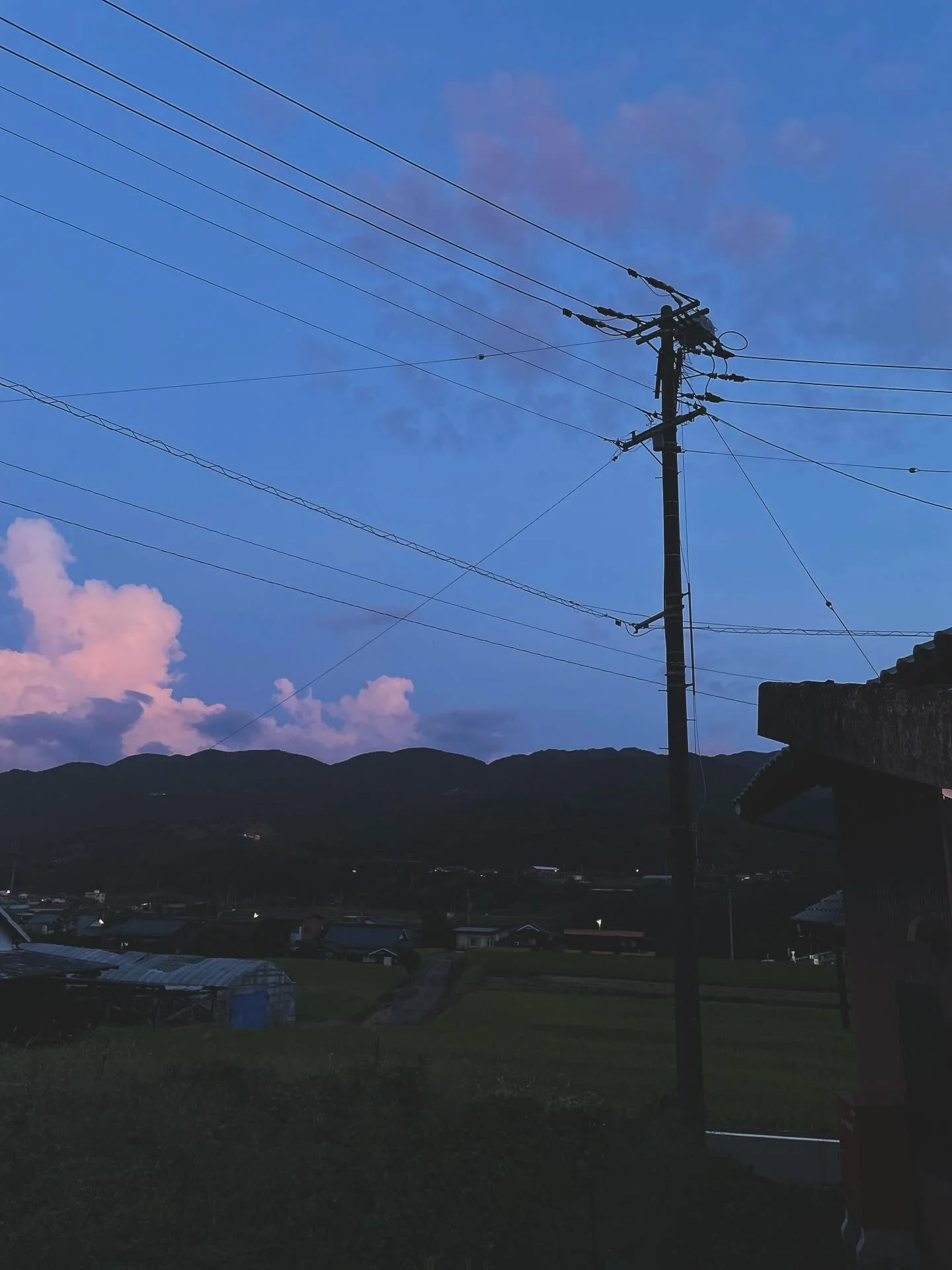 さいきん、夕方の空が綺麗なんです。

皆さんのところでもそうですか？

秋はなんだか、好きだけど、切ないような、さびしいような。

四季がわかりにくくなっているような気もしますが、それでも空、山や生き物たちをみて、季節のうつろい感じられることはなんて恵まれているのだろうと感じます。

entohouseのある野村町は、田んぼがたくさんありますが、収穫を迎えているところが多いです。美味しい新米が食べられるのは嬉しいですね。

西予市にお寄りの際は、ぜひ新米を買って帰ってくださいね。

どこで買える