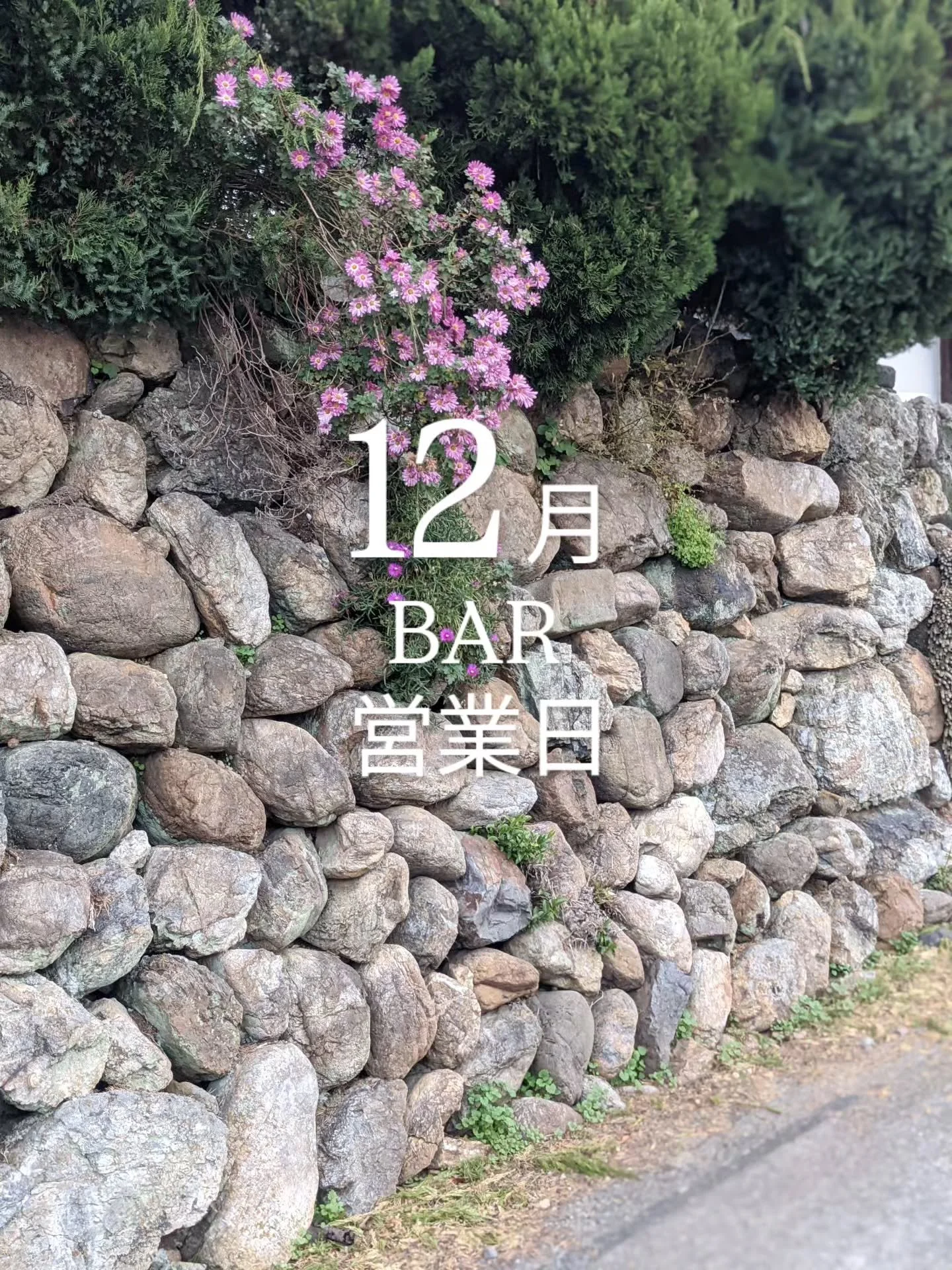 一段と寒くなってきましたね。移住する前は（随分前ですが）愛媛はあったかいイメージしかありませんでしたが、山あいの田舎まち野村町はしっかり寒いです。雪も今年は積もるかなあ&hellip;

さて12月に入りましたので今月のBAR 予定をお知らせします！

6日（土）19:00-24:00
11日（木）19:00-24:00
12日（金）19:00-24:00
18日（木）19:00-24:00
25日（木）19:00ごろ〜忘年クリスマス鍋パーティー

の予定です！

鍋パーティーは準備の関係もある