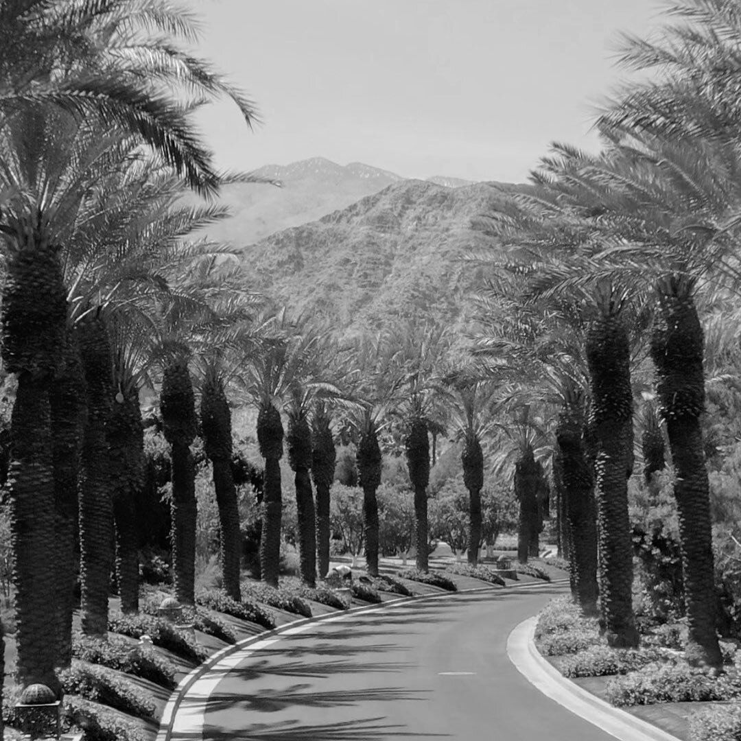 | Desert paradise 🎥
