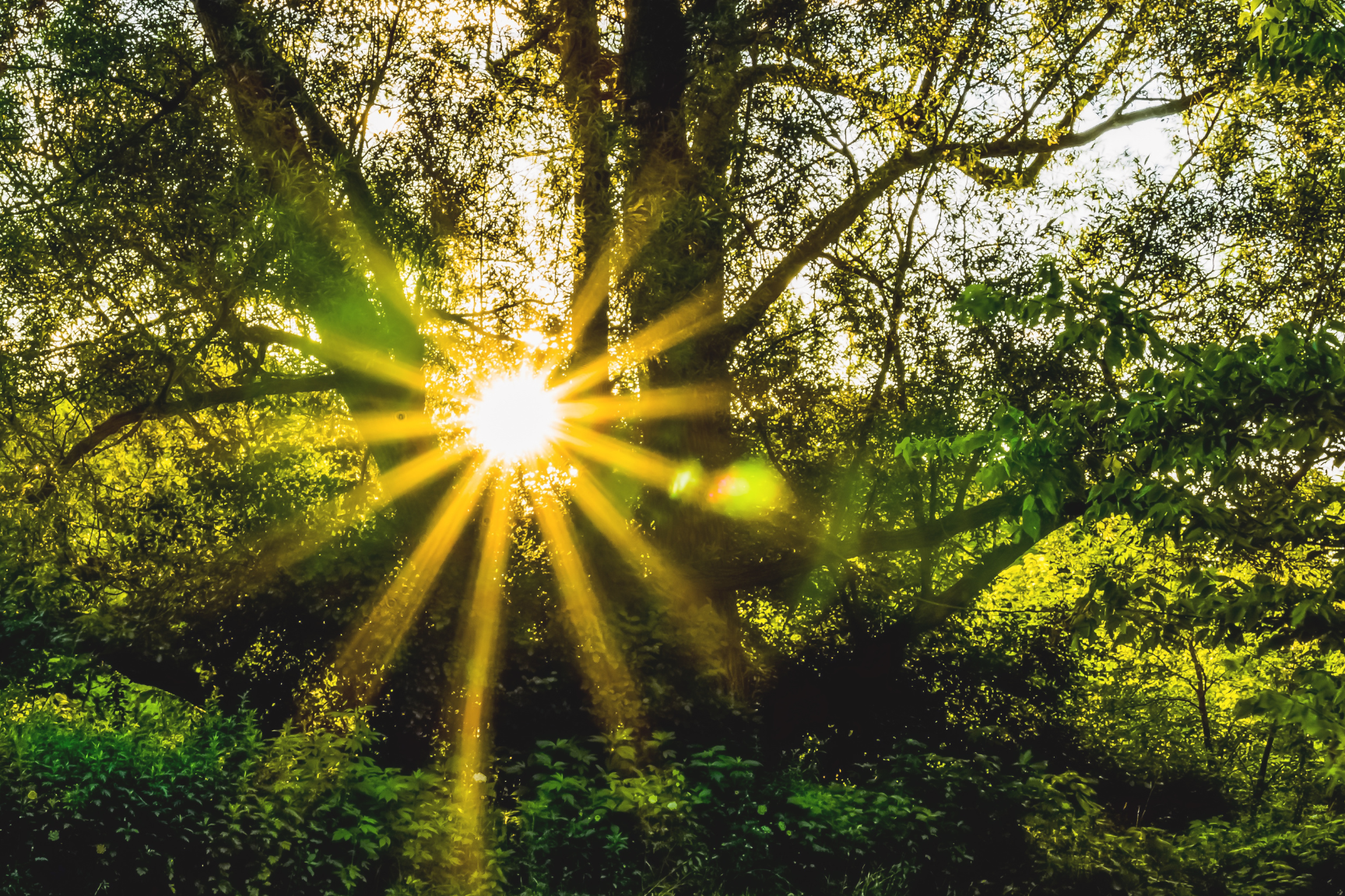 Empath Update | October 2023