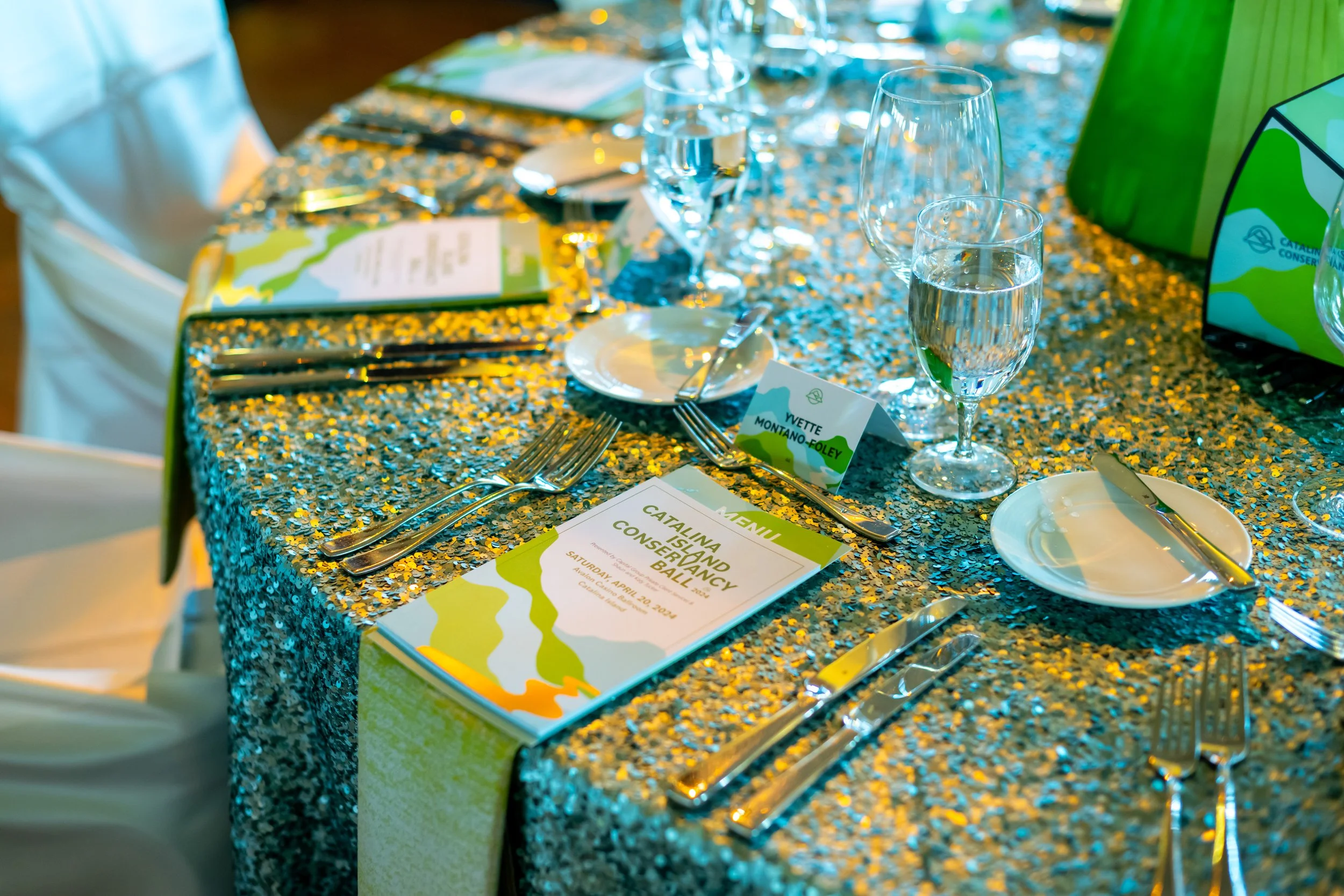 Annual Ball Identity