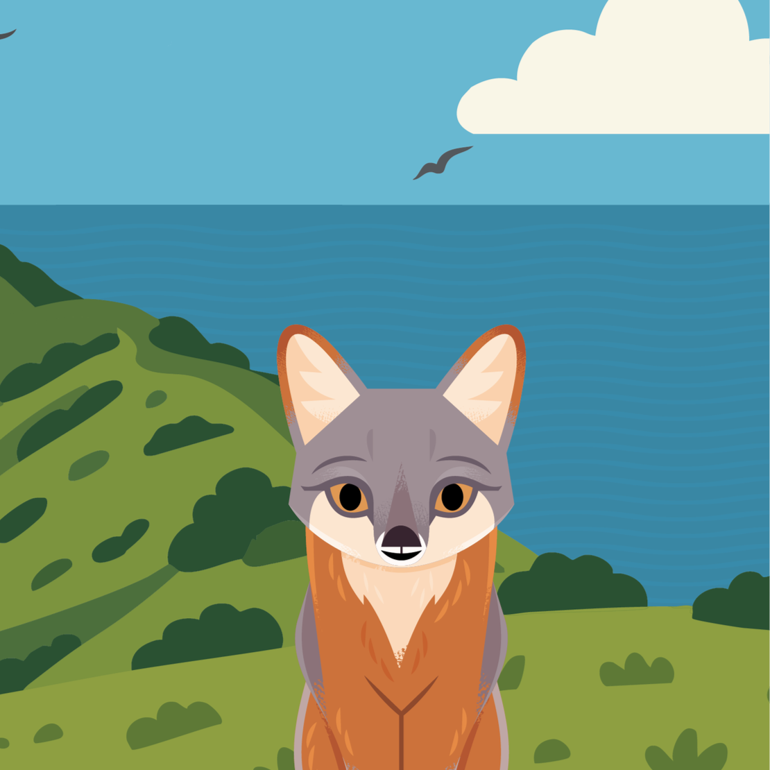 Be Fire Free, For Fox Sake!