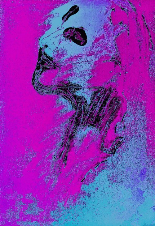 Head 1 # 6, series of 42, 2020