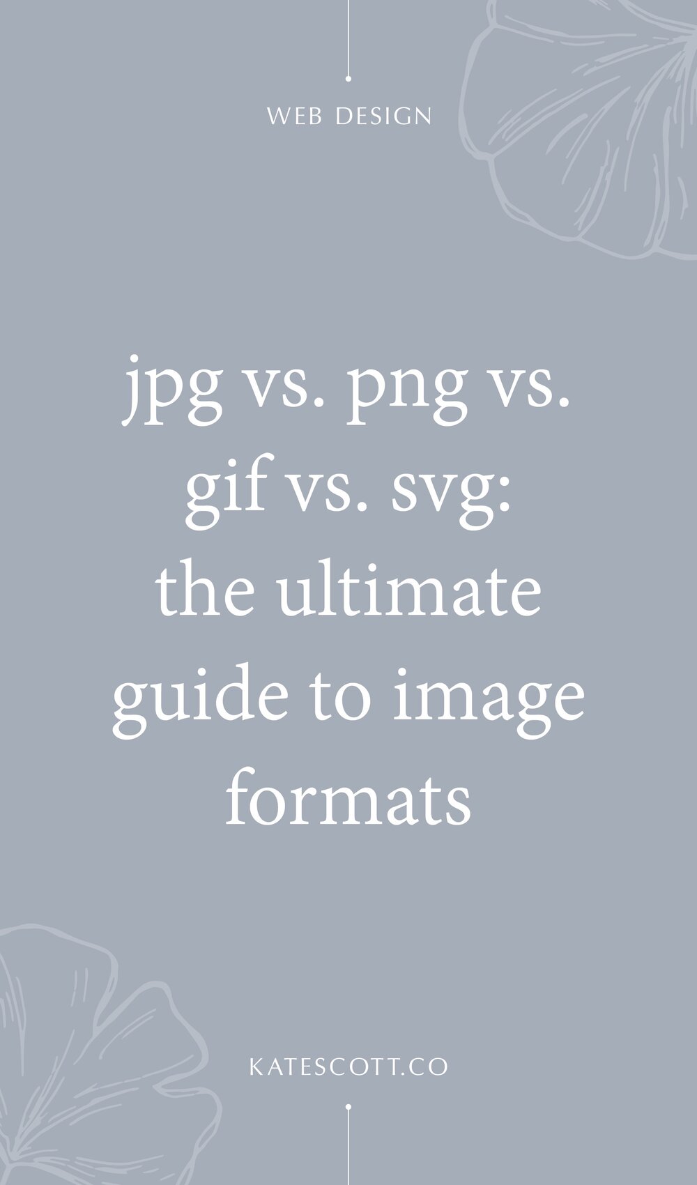 Download Jpg Vs Png Vs Gif Vs Svg The Ultimate Guide To Image File Formats Kate Scott Squarespace Templates