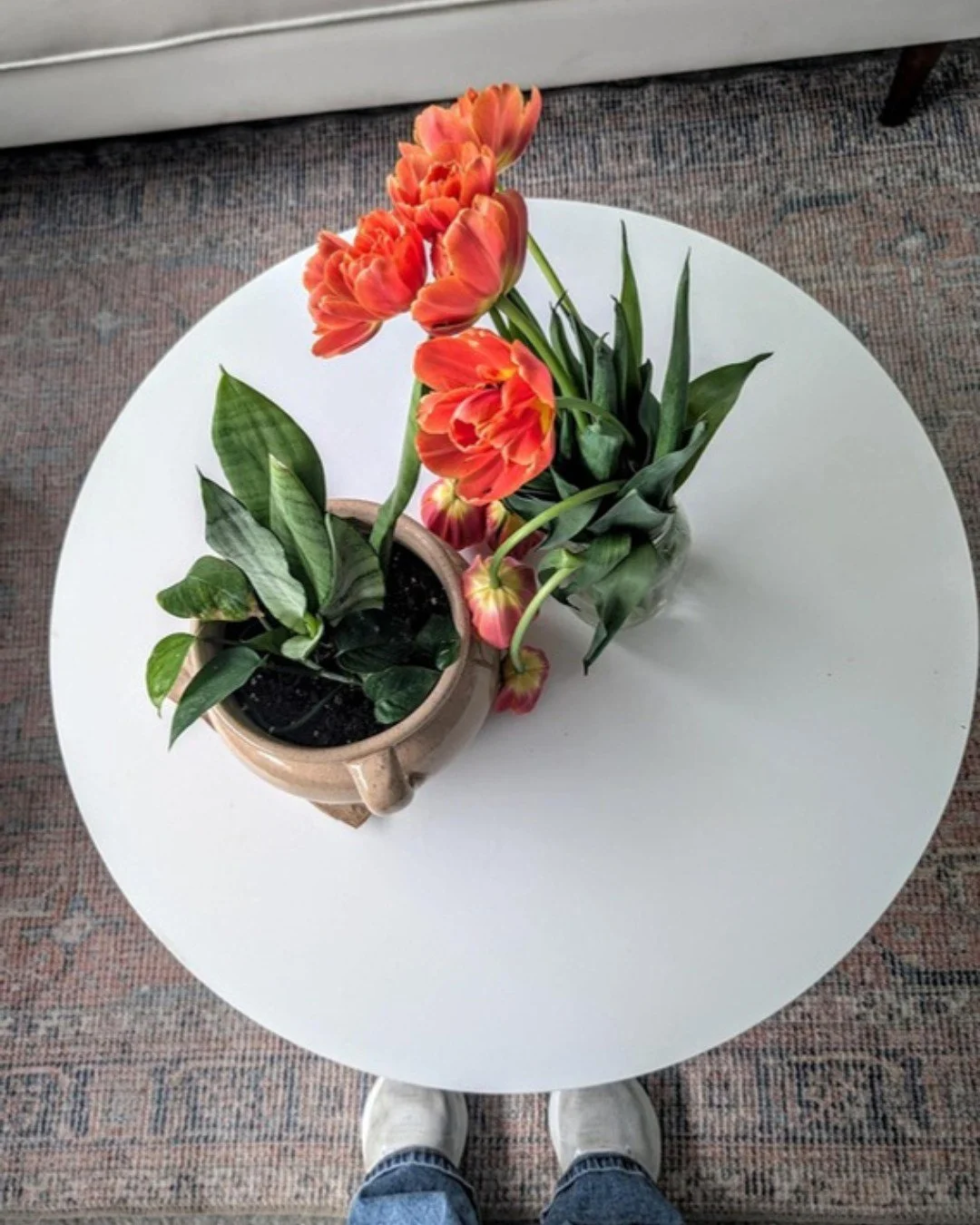 We take your comfort into account at Choice in Health. We have plants throughout our space to facilitate a positive atmosphere because we know that having a view of nature or plants has been known to reduce stress, lower blood pressure, and release m