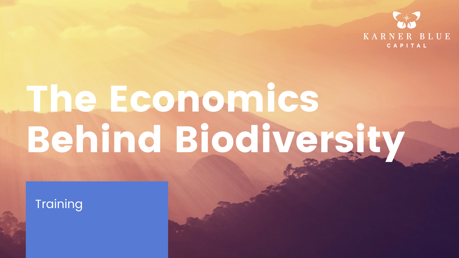 Concordia University of Montréal, Canada, hosts speakers Onno van den Heuvel, Global Manager, UN BIOFIN and Vicki Benjamin, Co-Founder and CEO, Karner Blue Capital to discuss the economics of biodiversity.