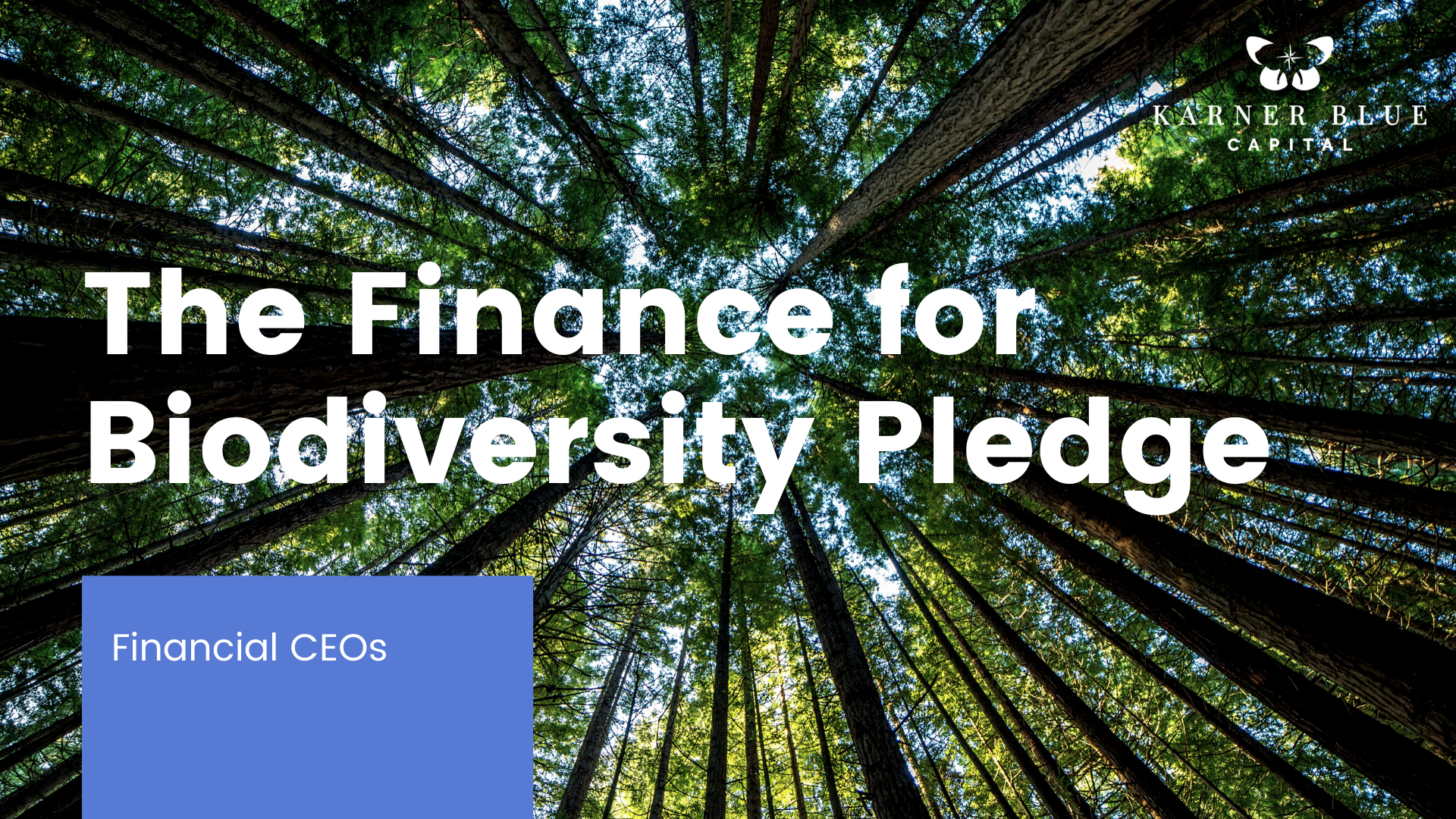 Representatives from financial institutions around the world make the Finance for Biodiversity Pledge, acknowledging the financial industry’s role in preserving biodiversity.