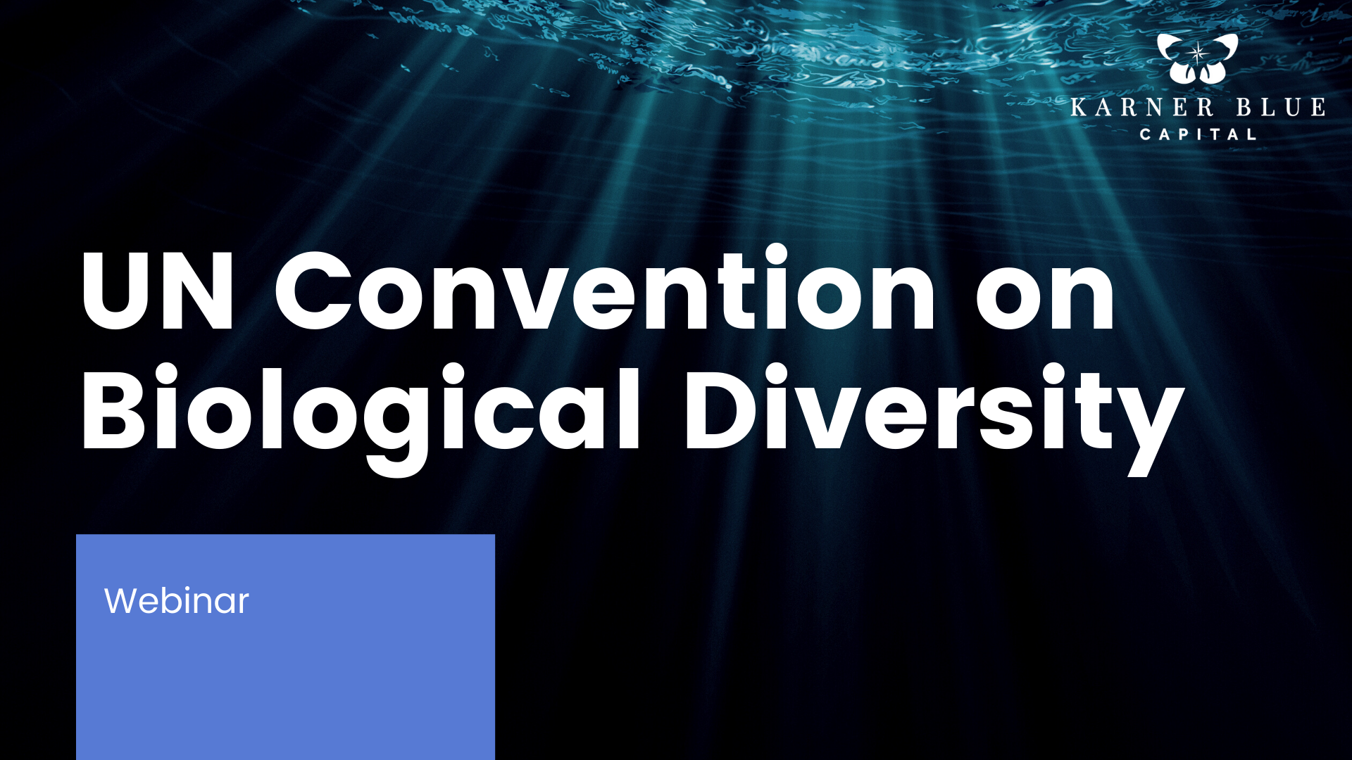 Panelists including Vicki Benjamin, co-founder and president of KBC, discuss how non-state actor commitments support the global biodiversity framework set forth by the UN Convention on Biological Diversity, part of the UN’s environment programme. 
