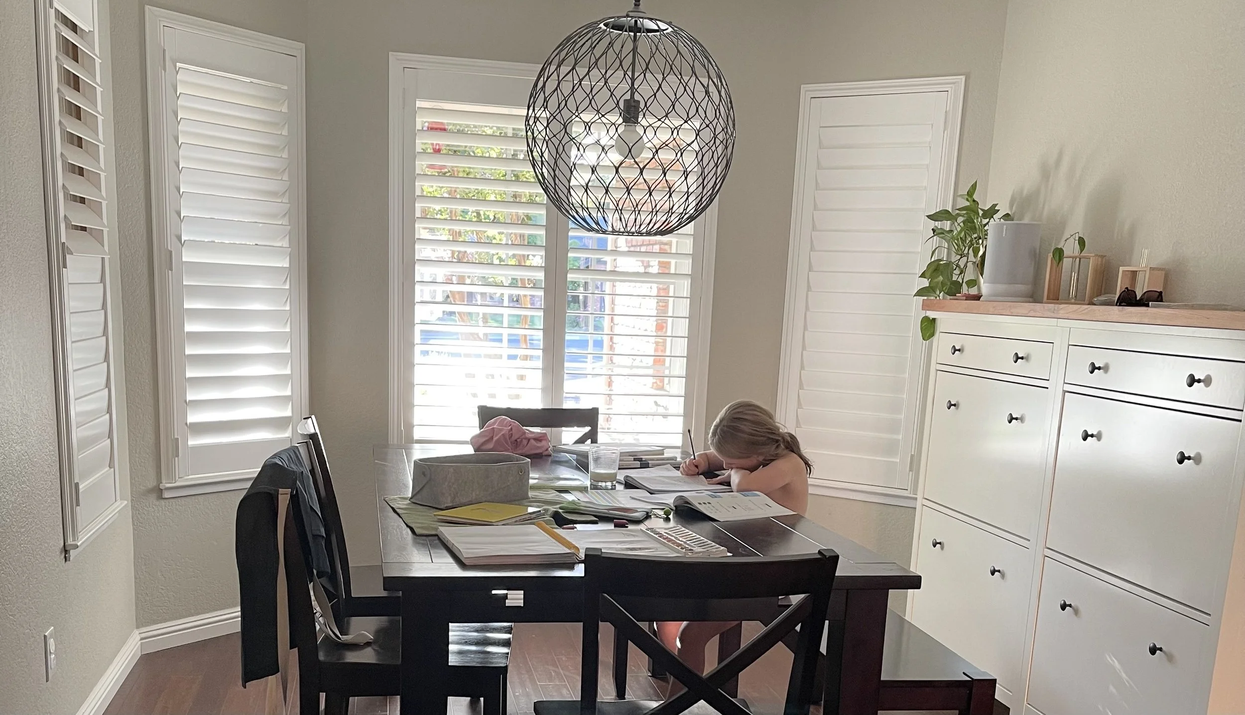 Another year of homeschooling