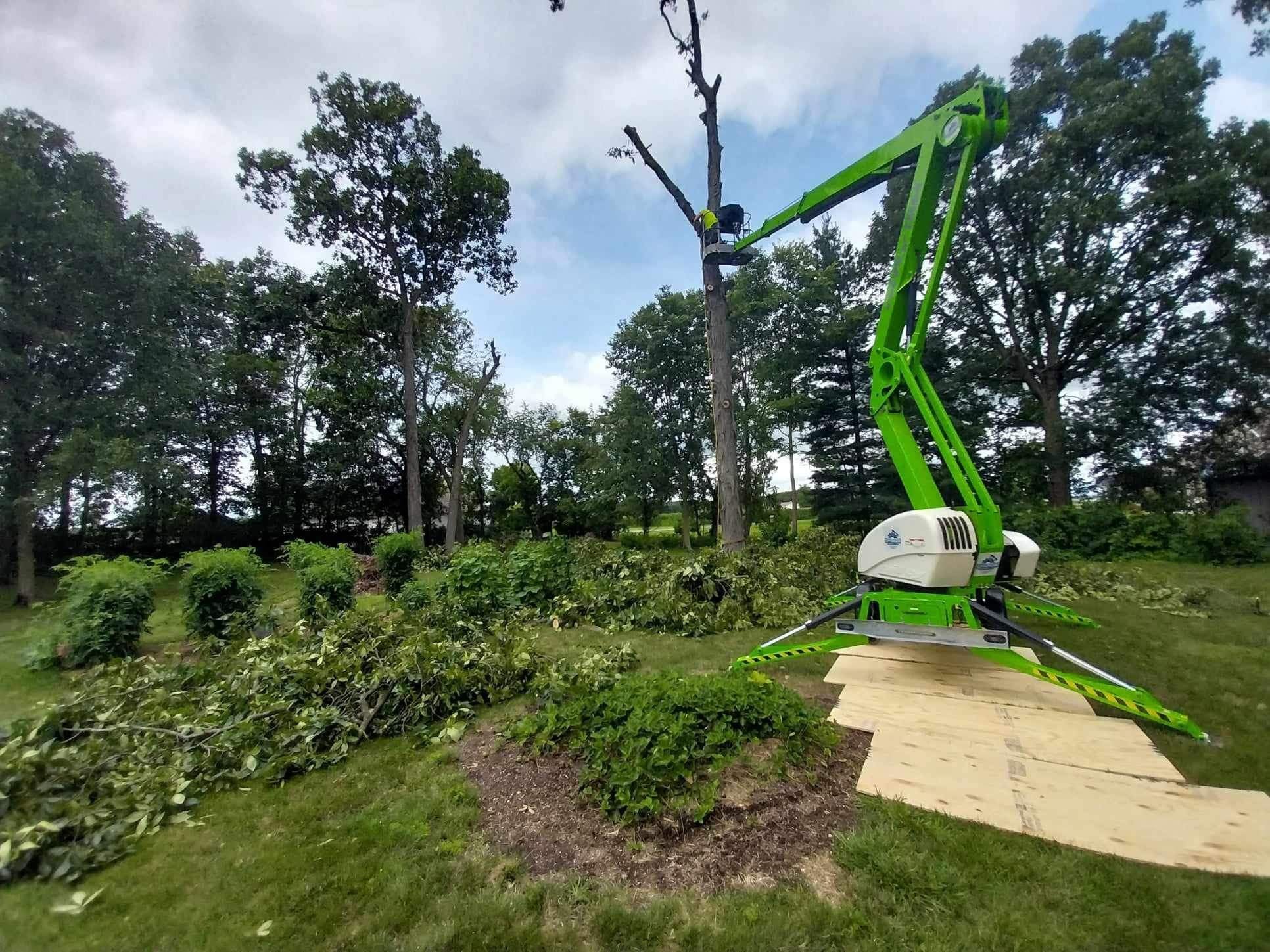 tree removal in decatur