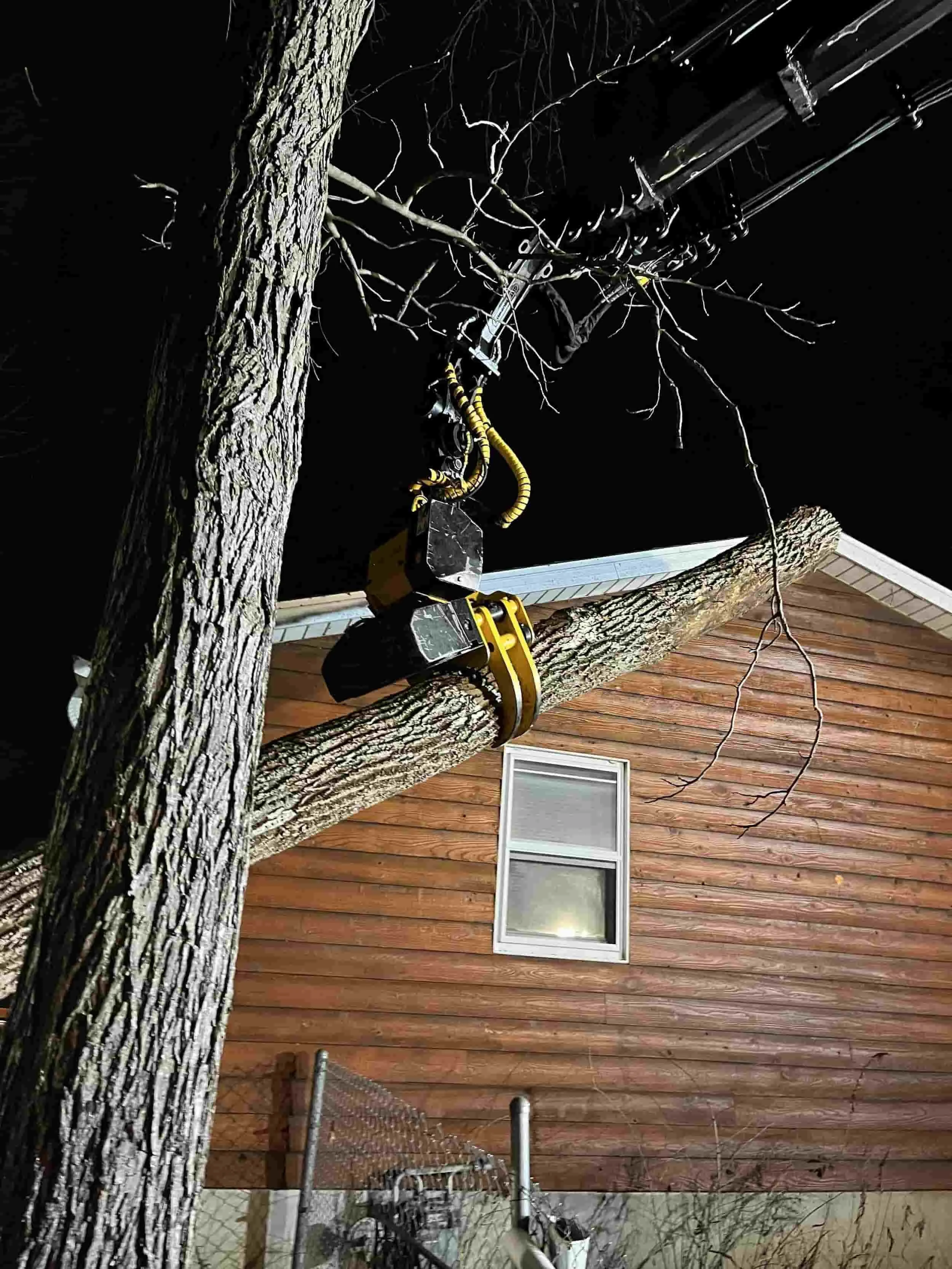 crane lifting a tree off of a home at night