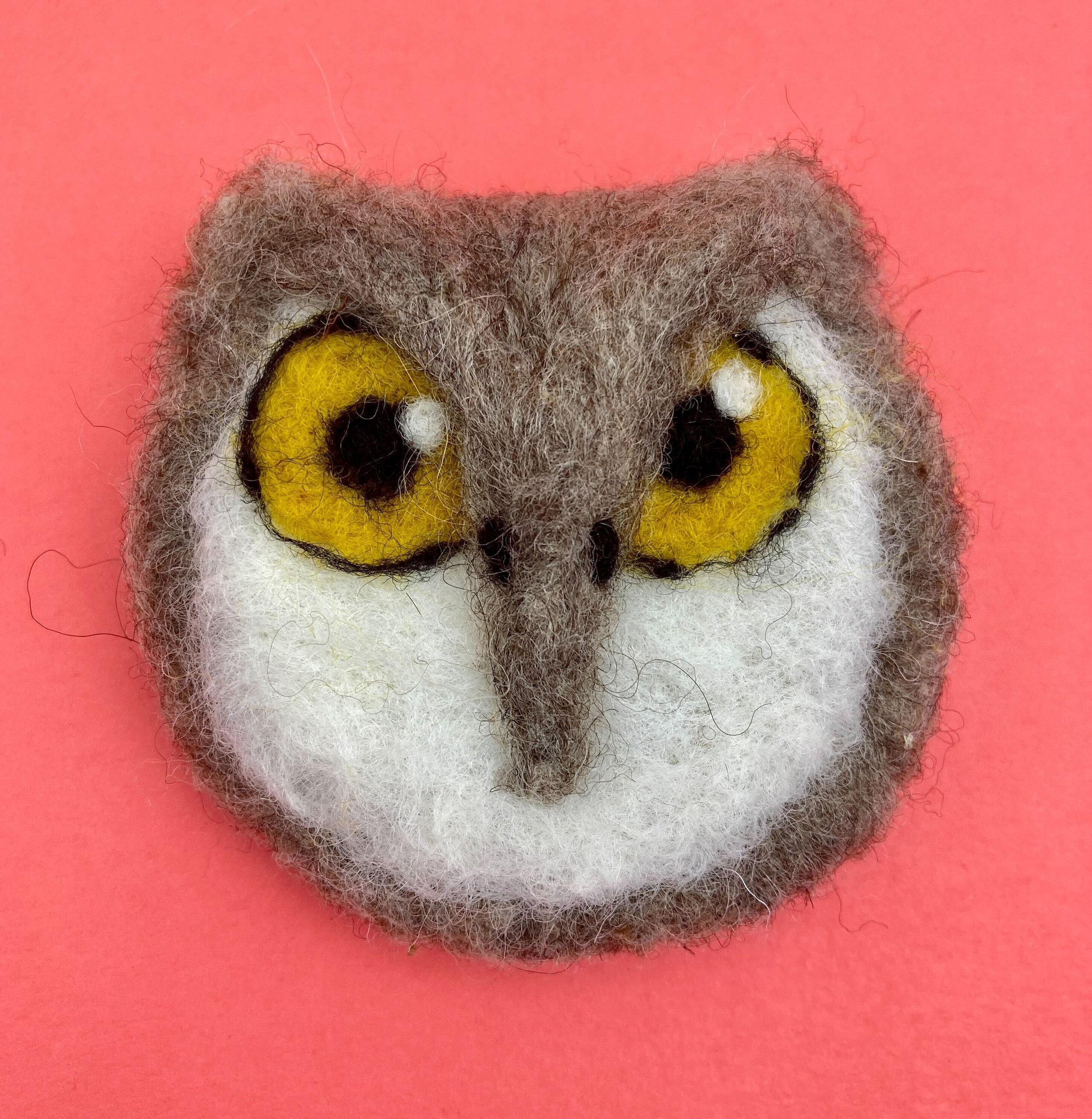 Felted Owl Face