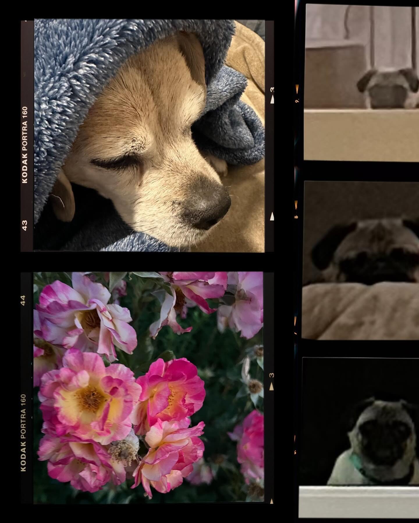May &amp; June recent vibes from the camera roll 📲 are overdue.🧳🕺

Lots of divine timing &amp; blessings in this chapter of our journey. Healing spaces in beautiful places.🤲🏼🌟💫🌄

I loved our time here. The birds 🐦 chirped every morning, &amp