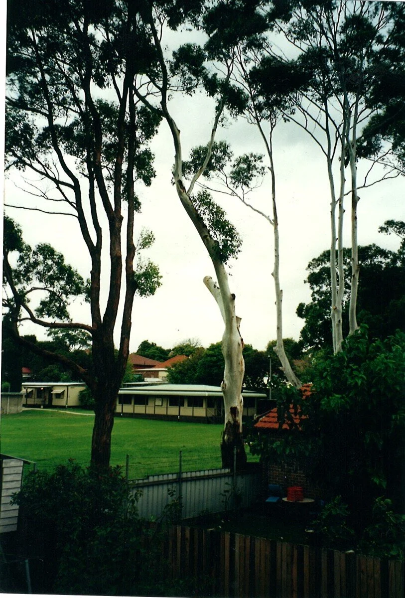 1990's - The Old Drill Hall before it was knocked down