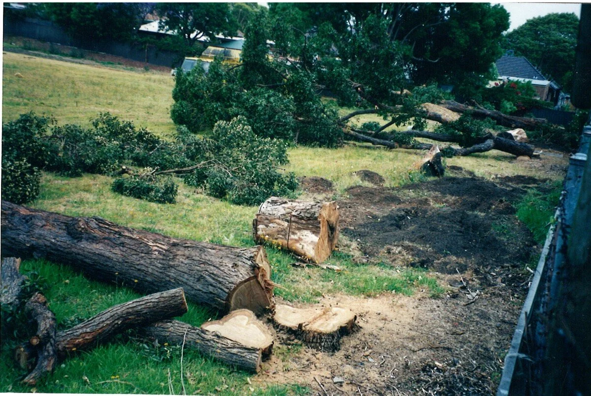 2002 - Destruction of the River Red Gums