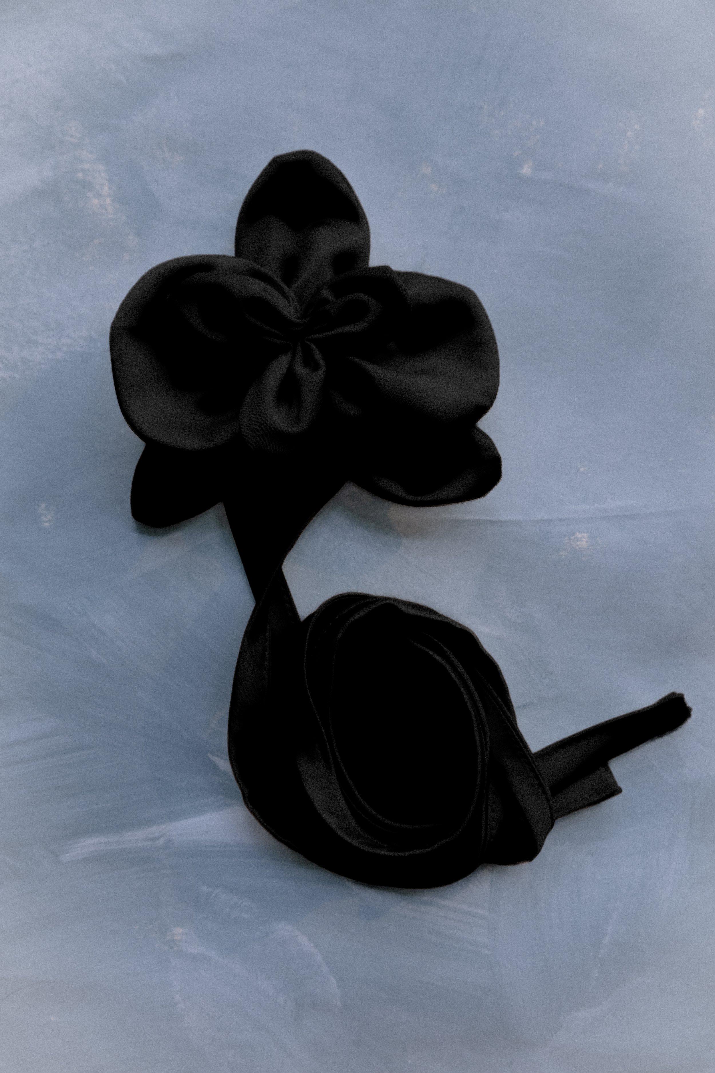 orchid black-1.jpg