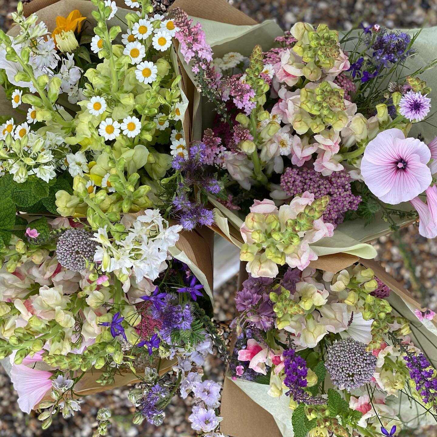 Bouquets of summer joy for Wednesday&rsquo;s flowers&hellip;💤🐝

#locallygrown #supportlocal #cutflowers #grownwithlove #grownnotflown #grownfromseed #scentedflowers #britishfloral #fieldtovase #sayitwithflowers #ihavethisthingwithflowers #wildflowe