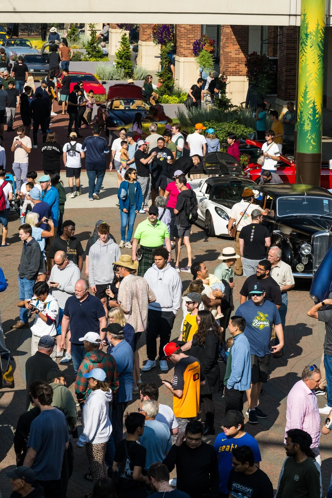 Welcome to Season 17!