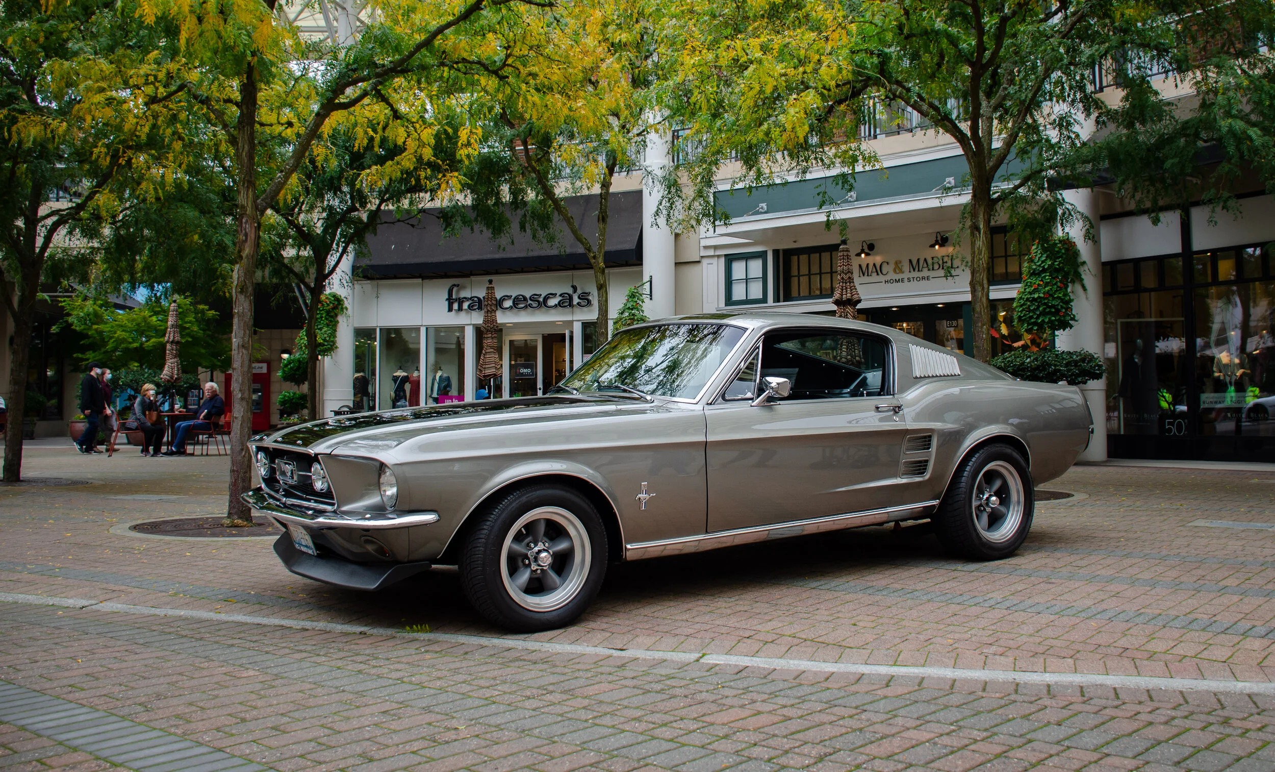Dan O'Connell - DanOConnell_Photo100_Mustang.jpg