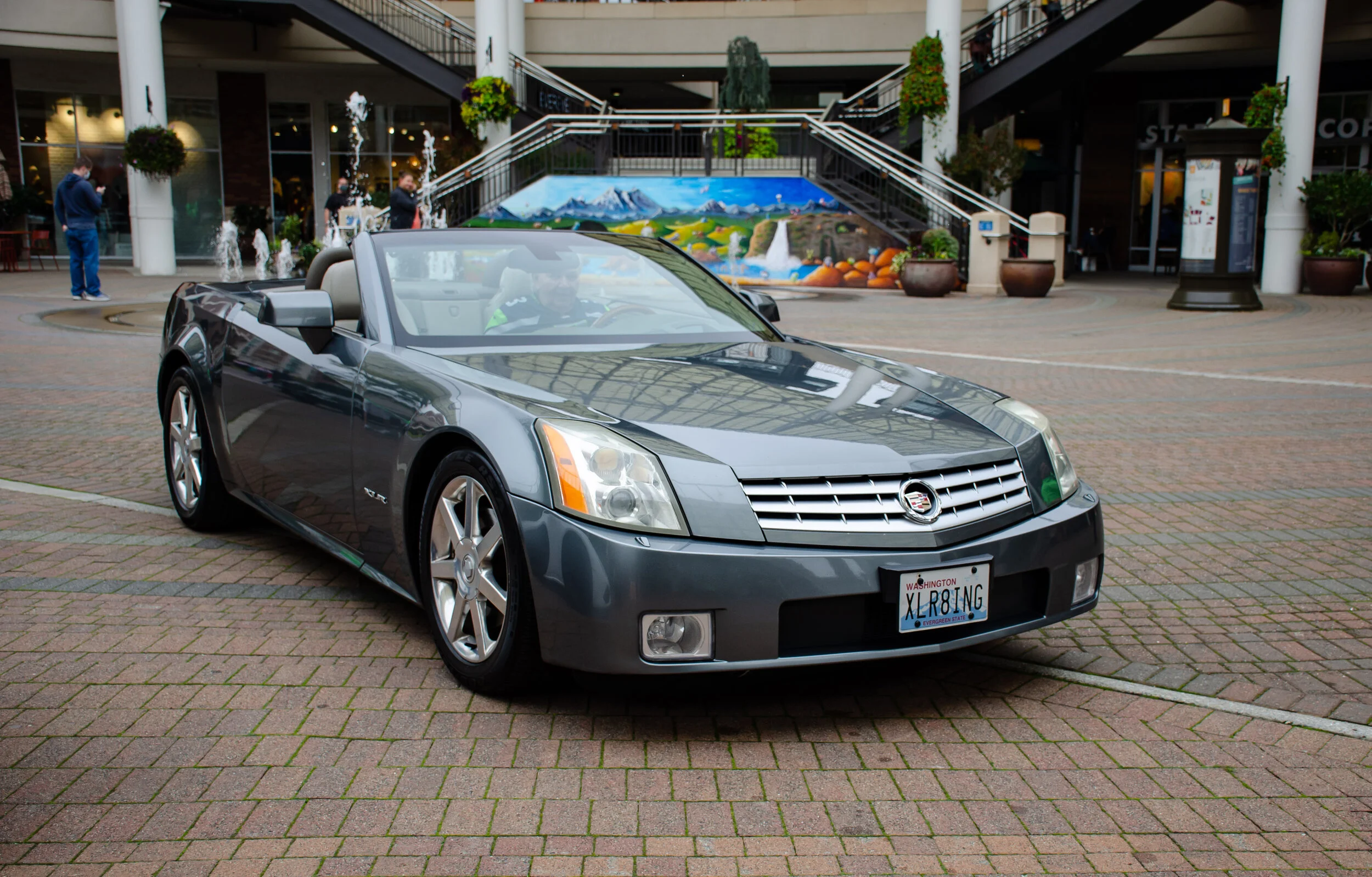 Dan O'Connell - DanOConnell_Photo105_Caddy.jpg