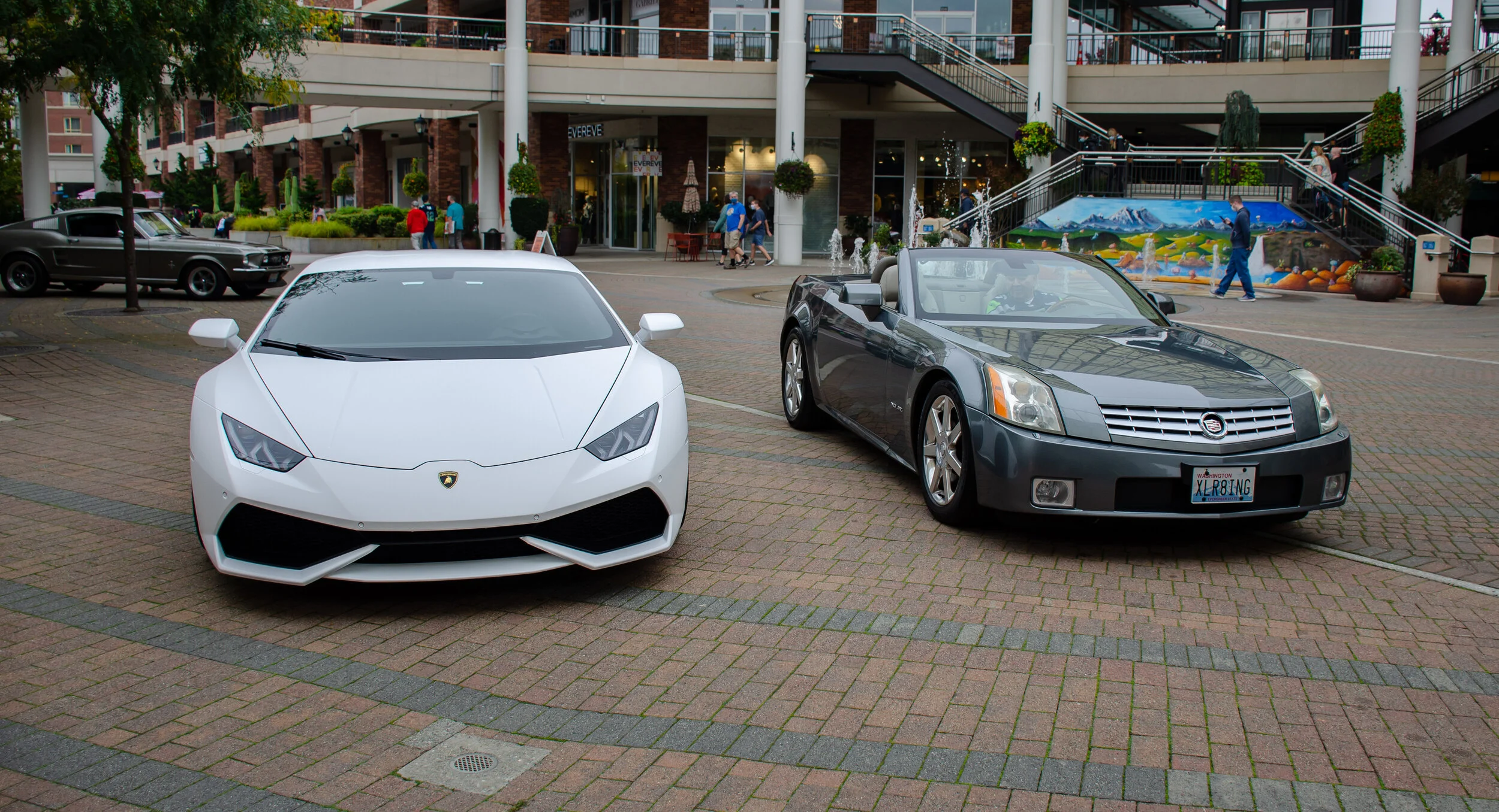 Dan O'Connell - DanOConnell_Photo104_LamboCaddy.jpg