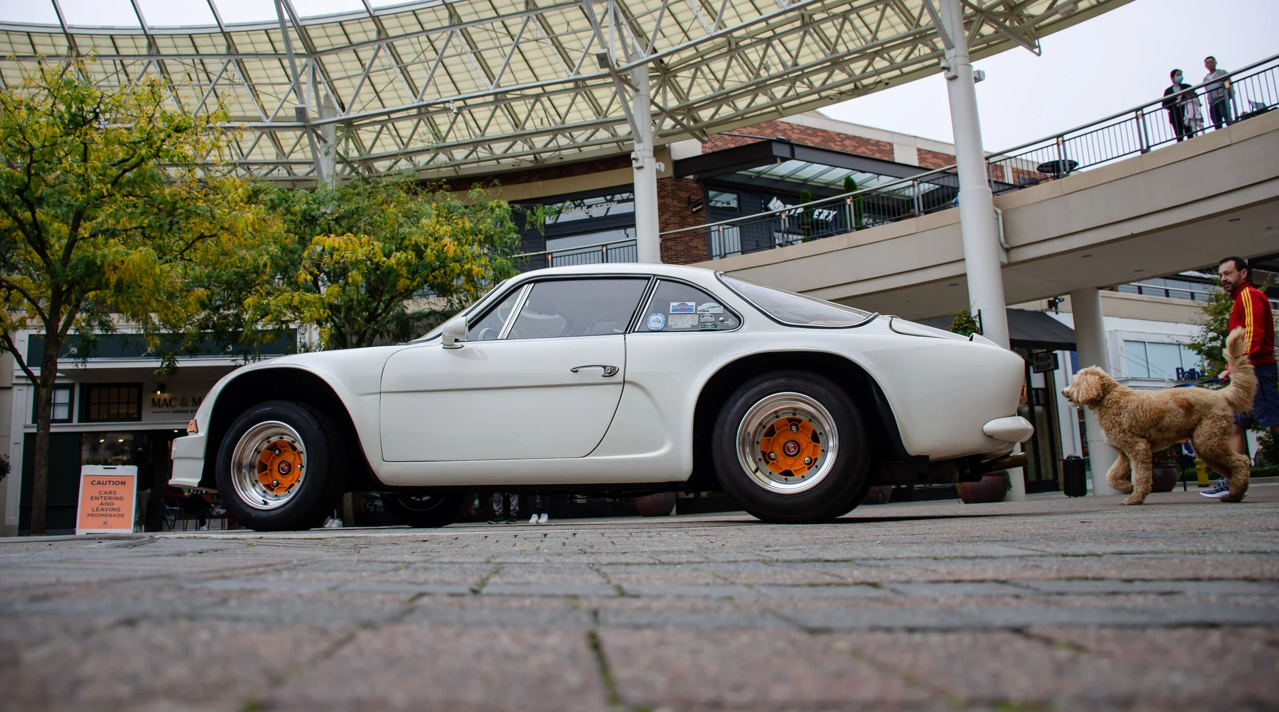 Dan O'Connell - DanOConnell_Photo39_Alpine3.jpg