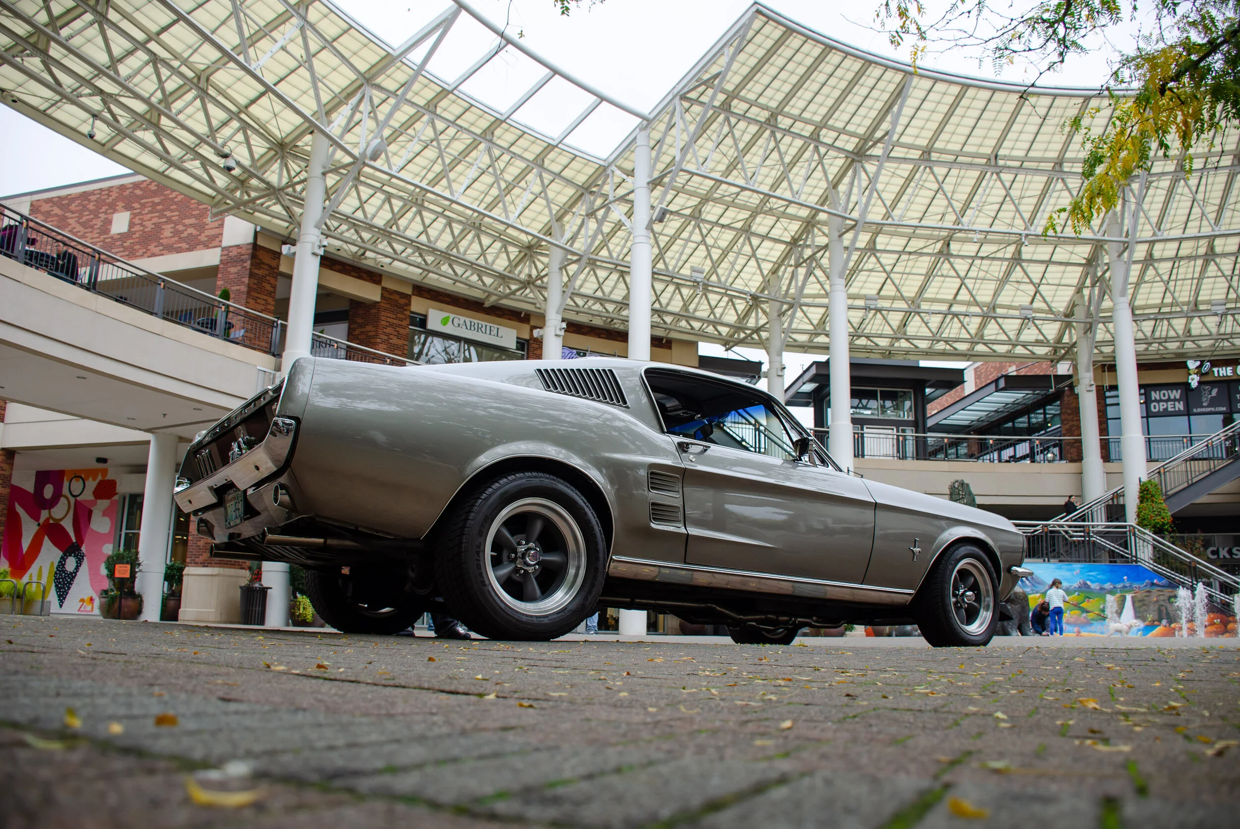 Dan O'Connell - DanOConnell_Photo101_Mustang2.jpg