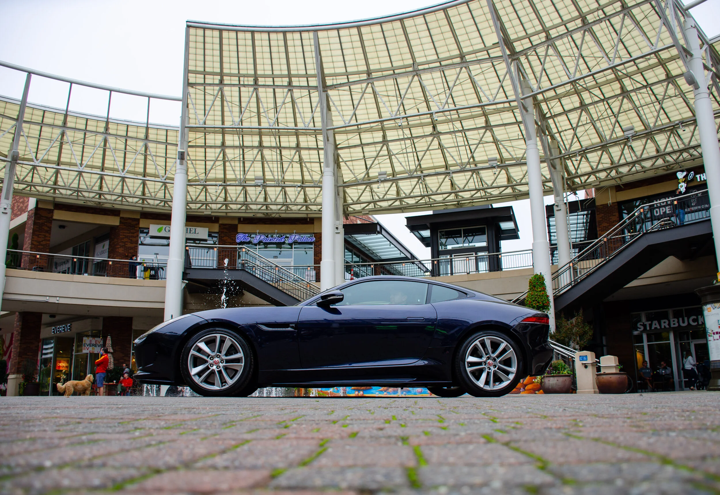 Dan O'Connell - DanOConnell_Photo49_Jaguar2.jpg