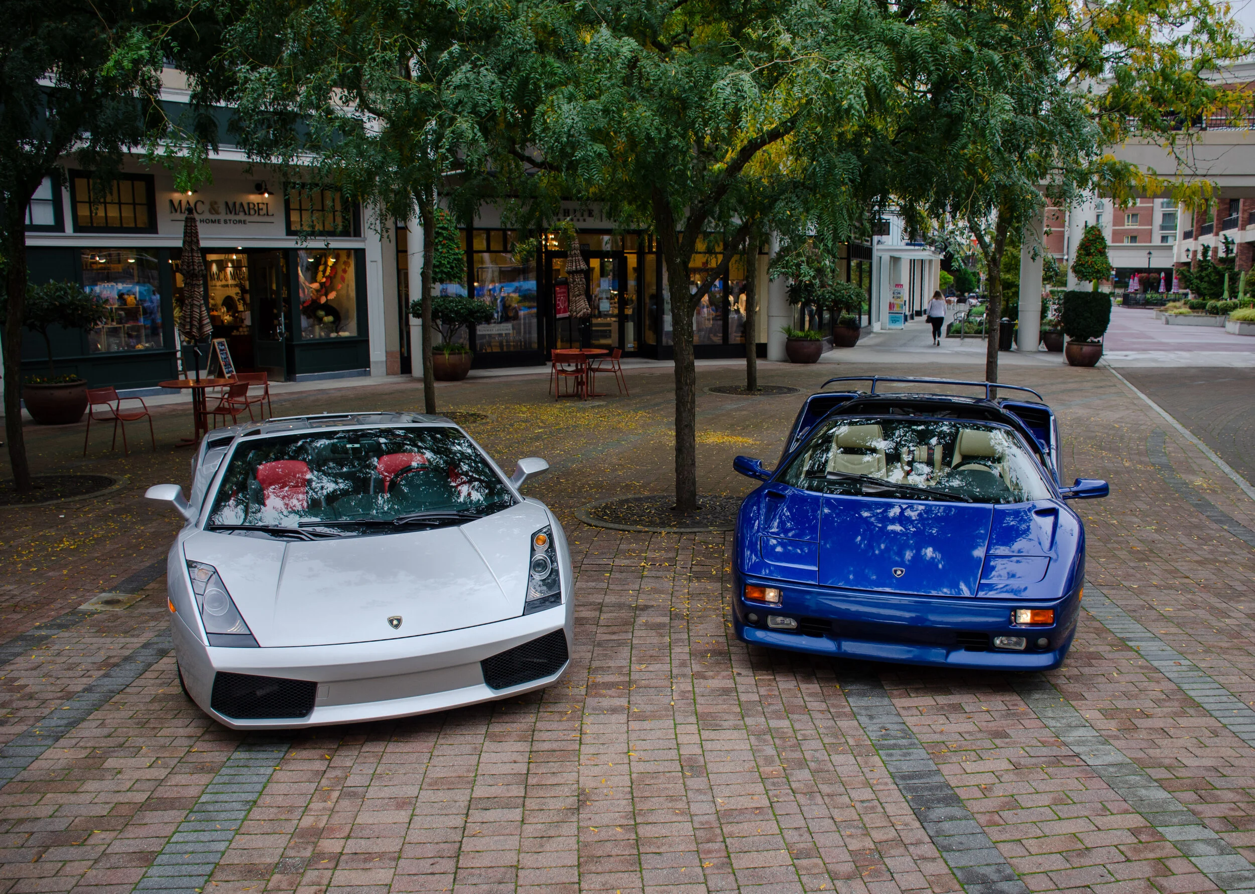 Dan O'Connell - DanOConnell_Photo153_LamboPair3.jpg