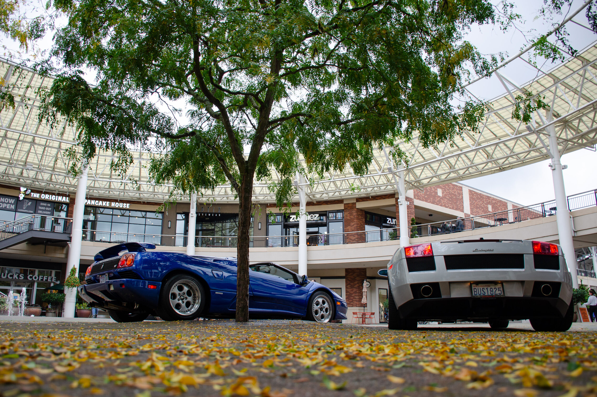 Dan O'Connell - DanOConnell_Photo152_LamboPair2.jpg