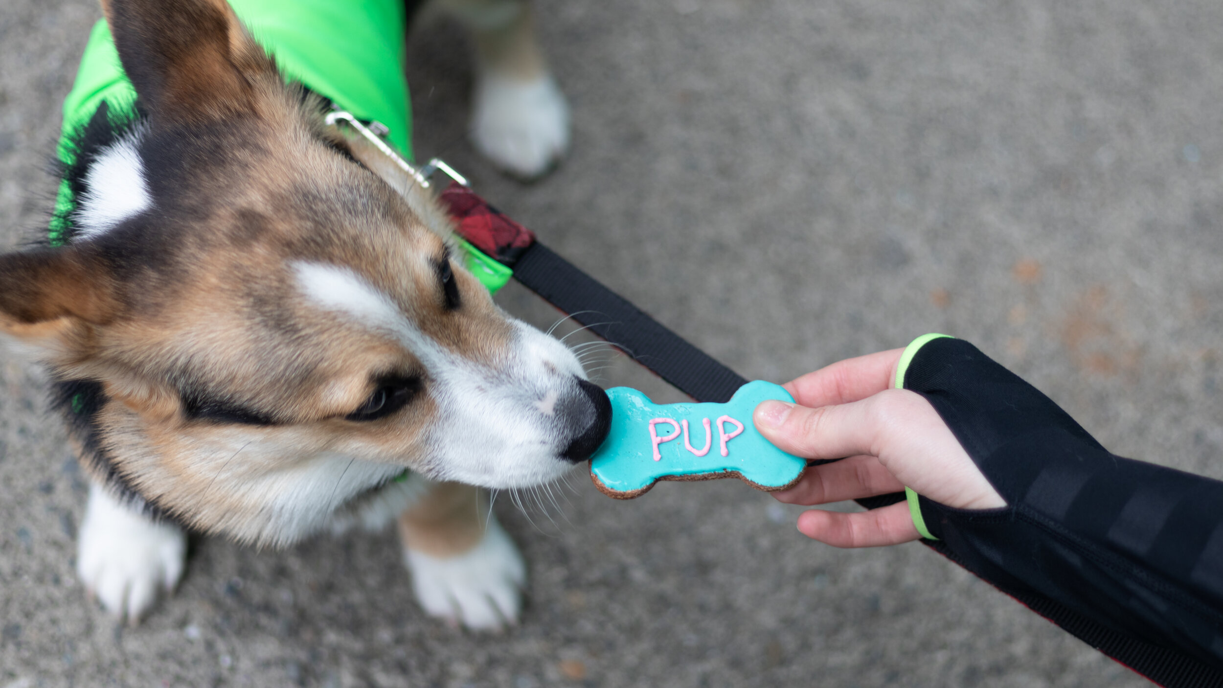 Jared Eades - JaredEades_001.jpg