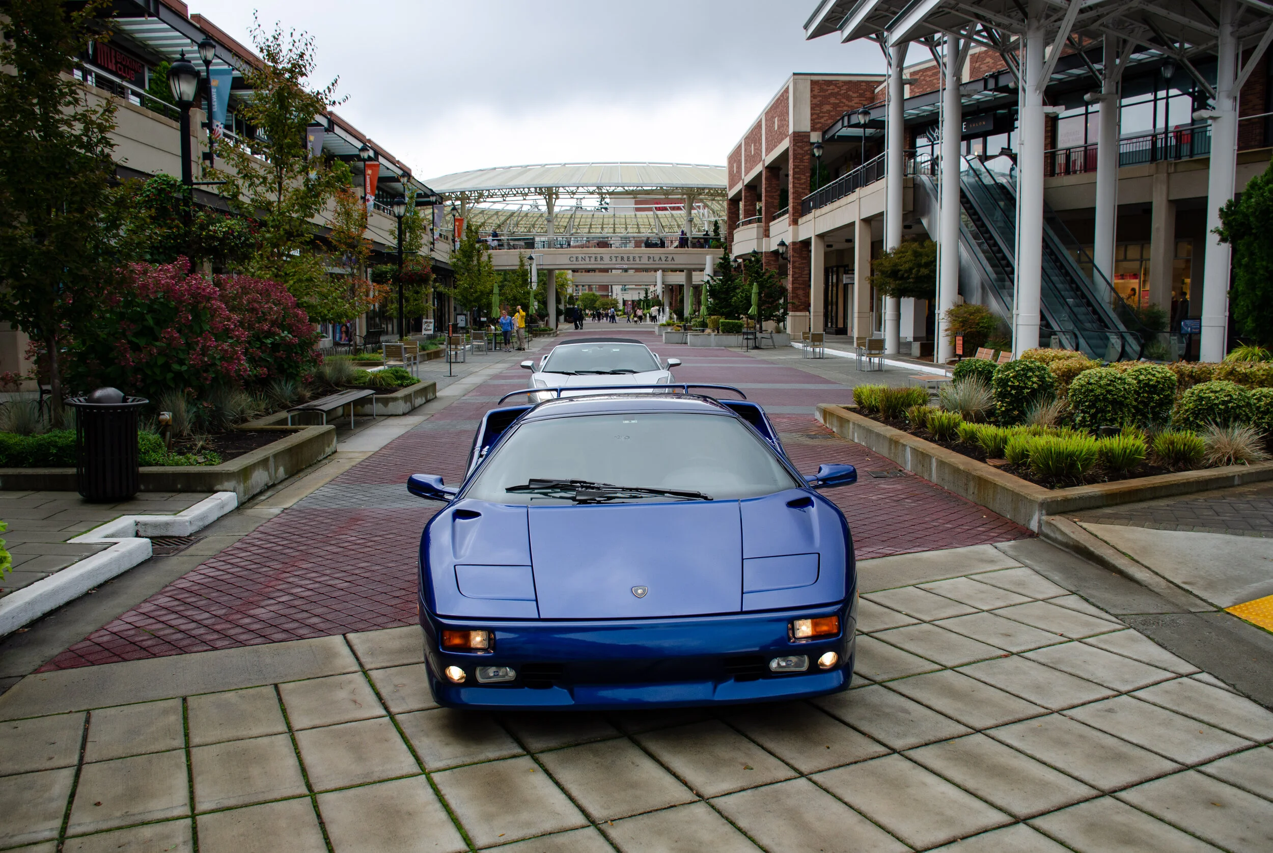 Dan O'Connell - DanOConnell_Photo164_LamboLeave.jpg